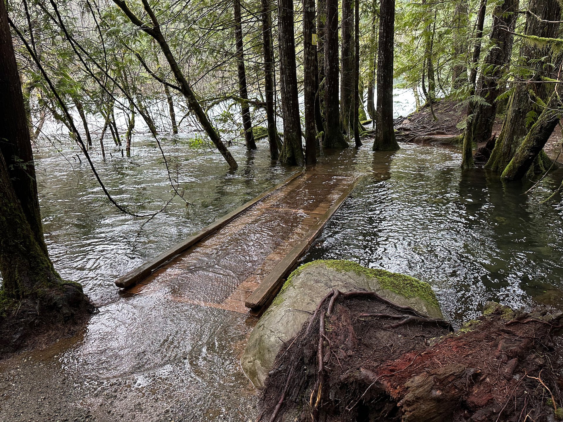  Even after we worked our way around the flooding on a different trail, you could see how high the river was! 