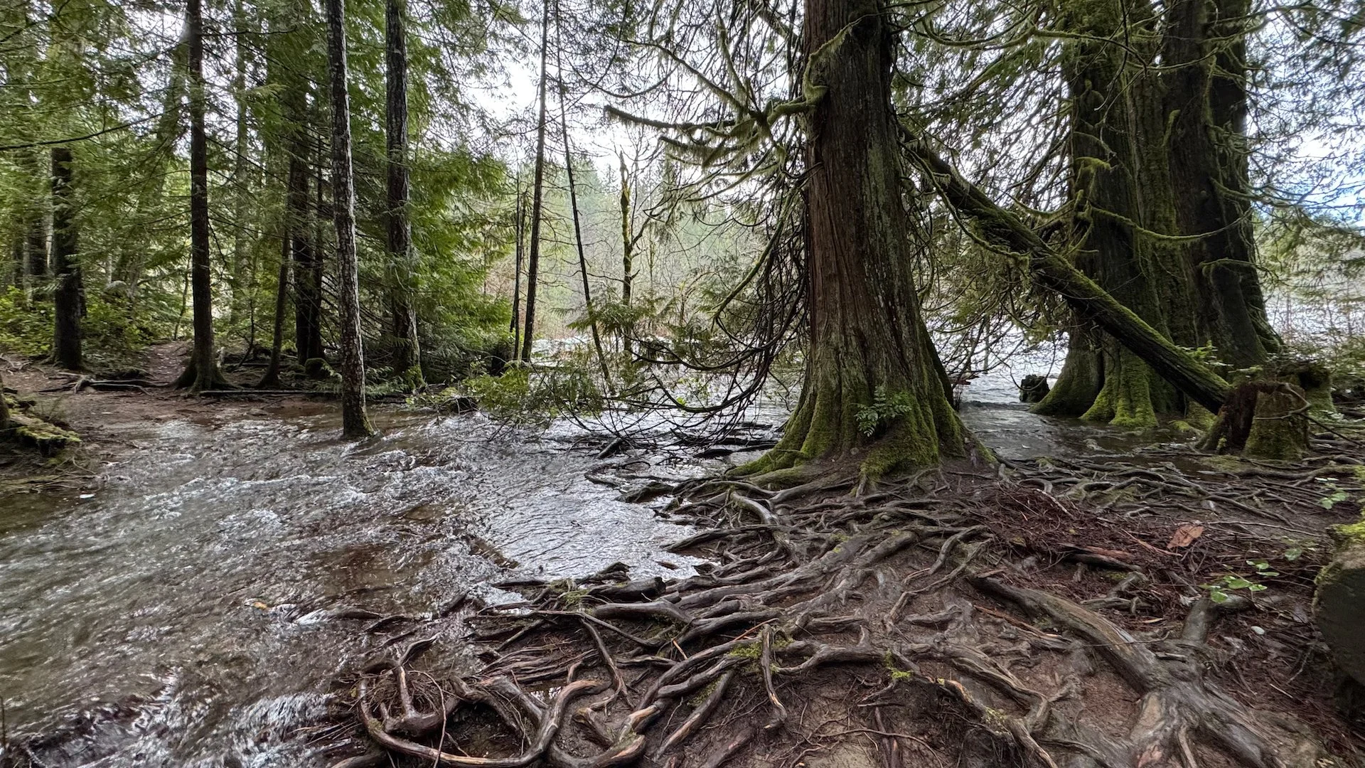 2026-02 Justine Mount Washington - 11.jpeg