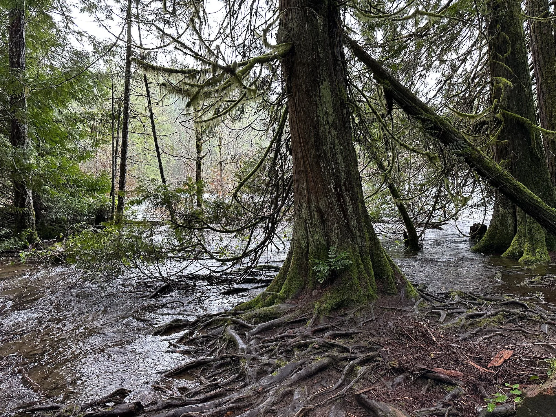 2026-02 Mount Washington - 20.jpeg