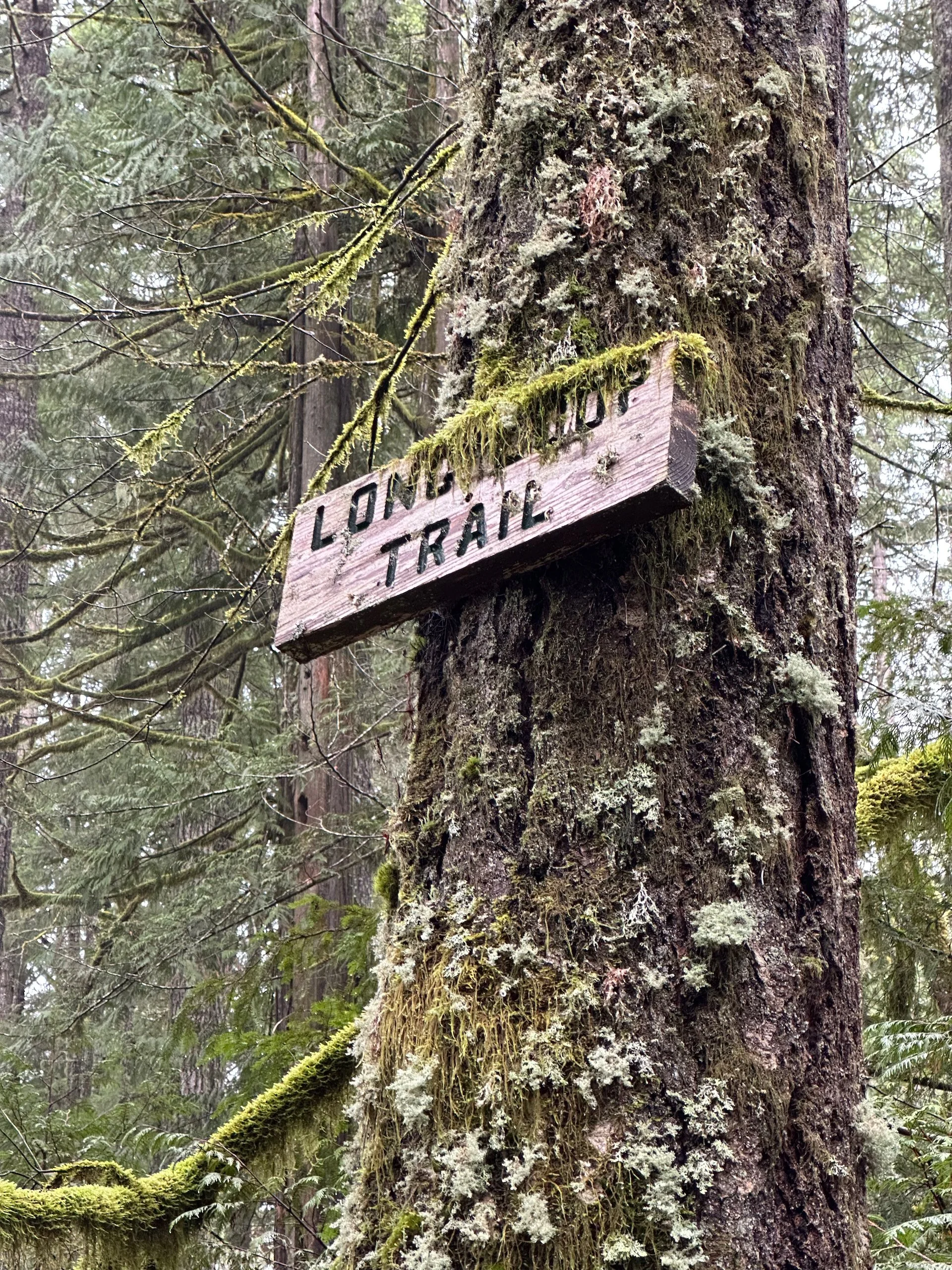 2026-02 Mount Washington - 22.jpeg