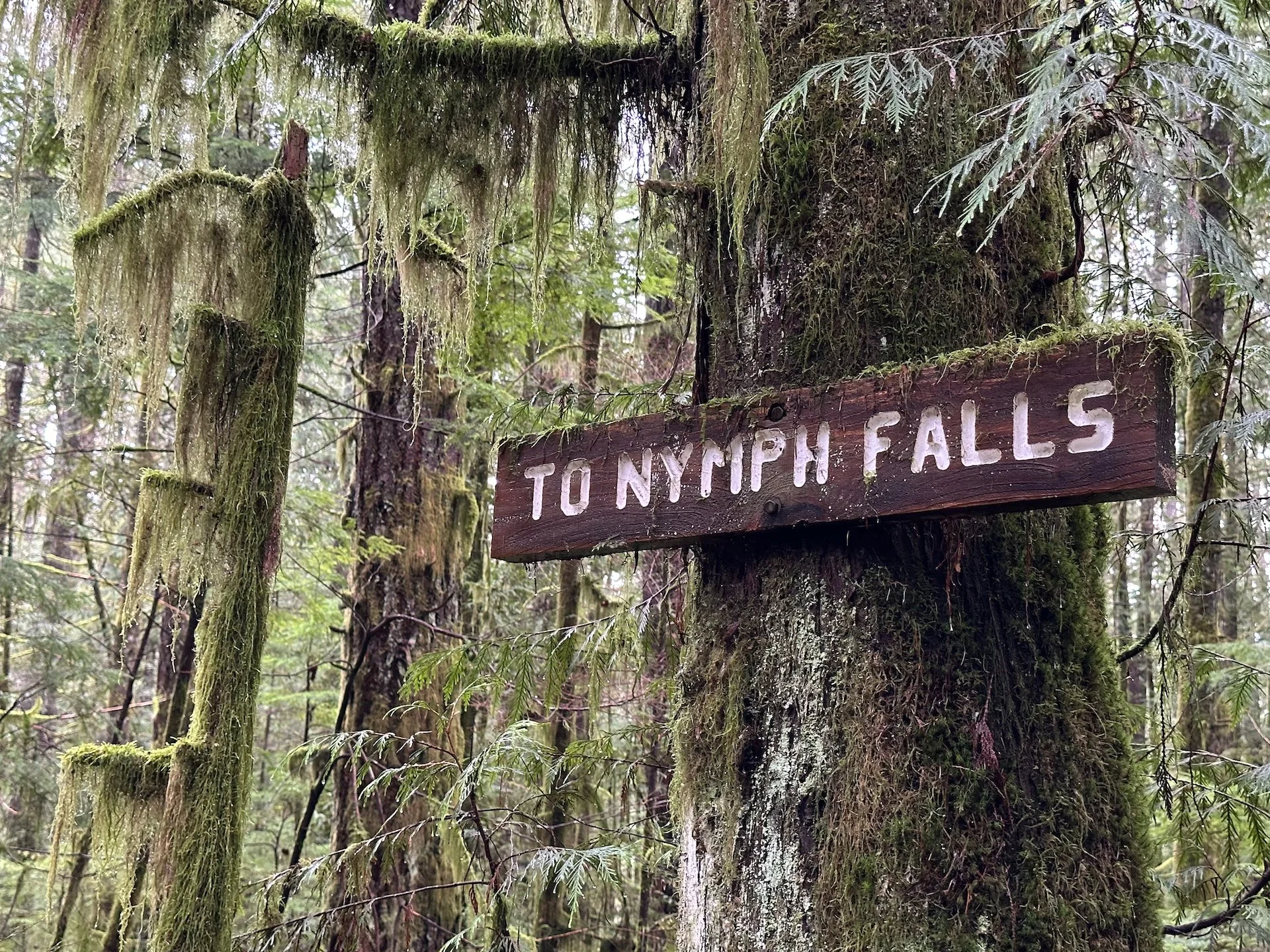 2026-02 Mount Washington - 23.jpeg