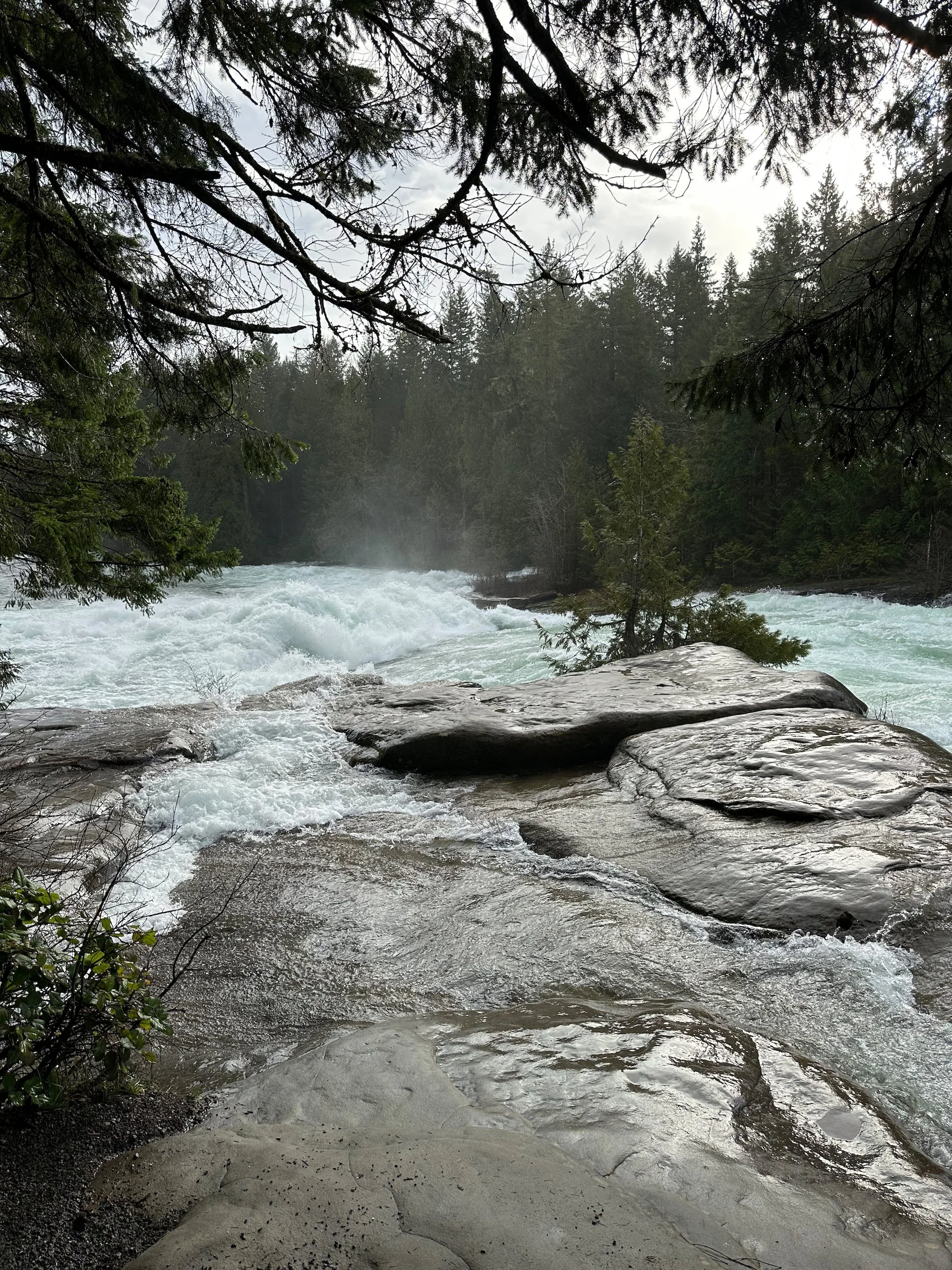 2026-02 Mount Washington - 24.jpeg