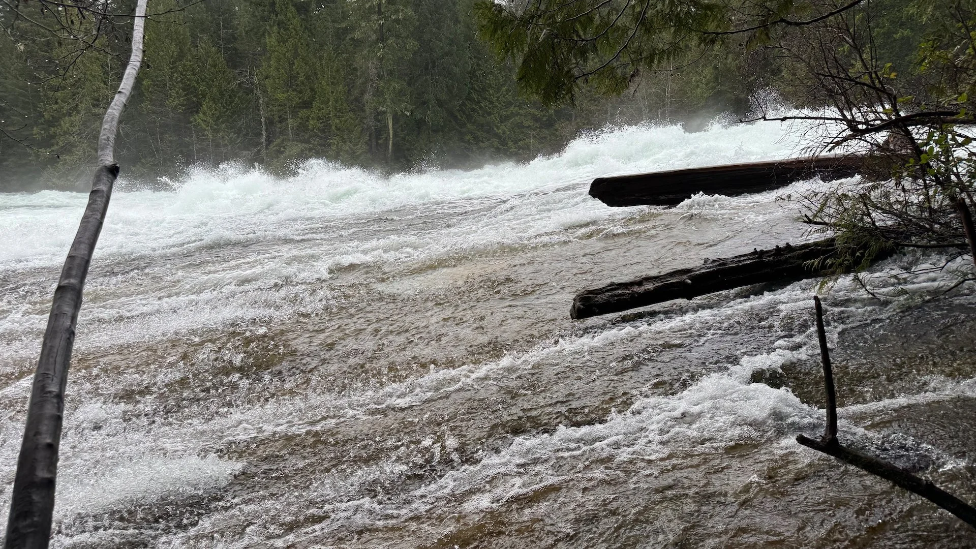 2026-02 Justine Mount Washington - 10.jpeg