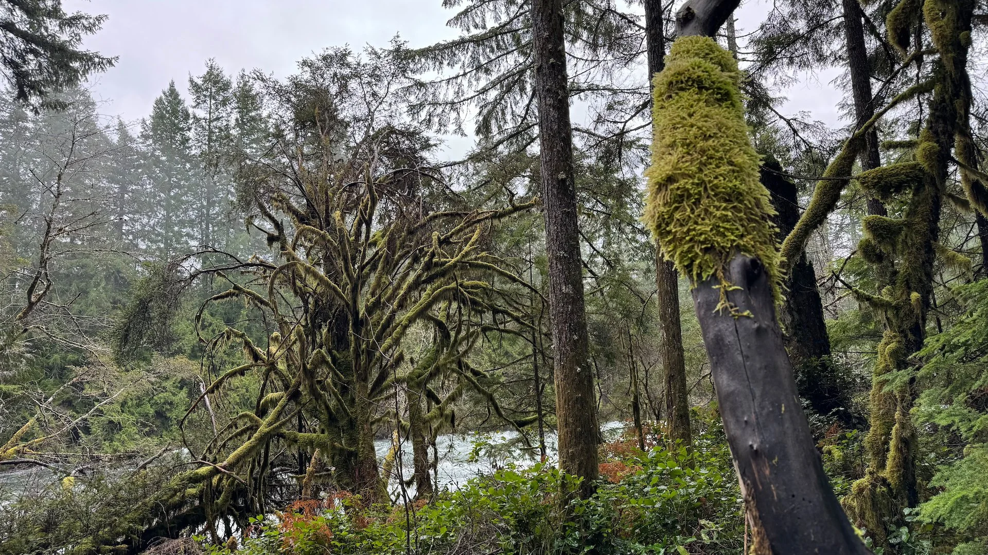 2026-02 Justine Mount Washington - 12.jpeg