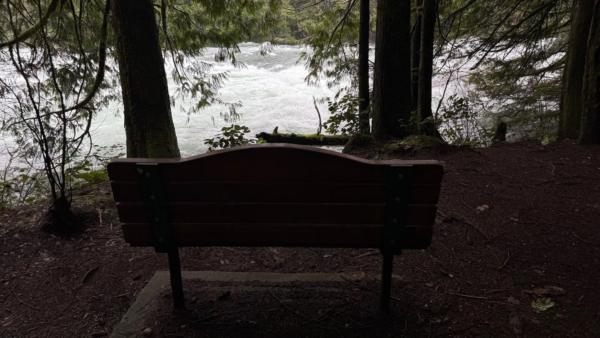 2026-02 Justine Mount Washington - 13.jpeg