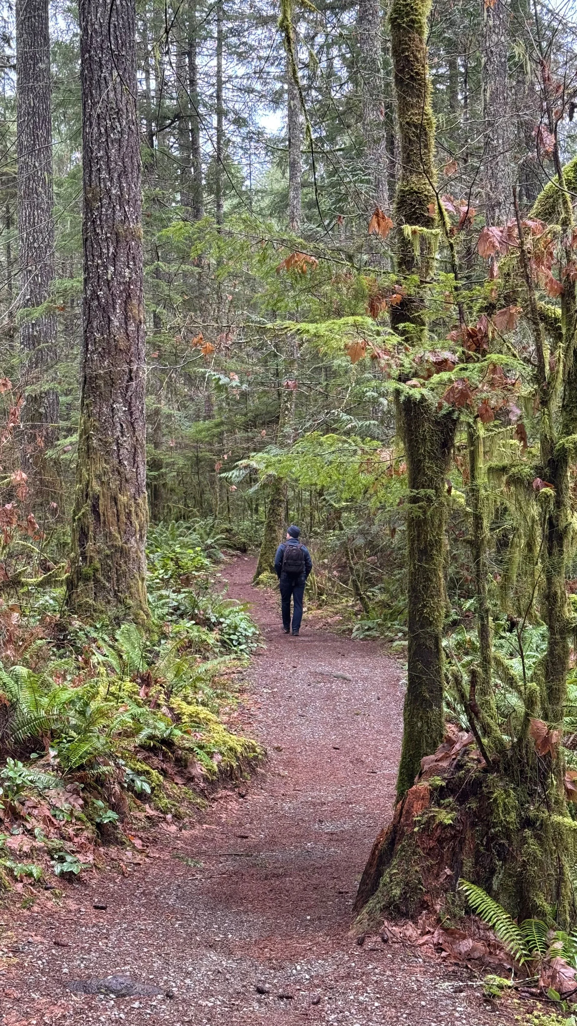 2026-02 Justine Mount Washington - 14.jpeg