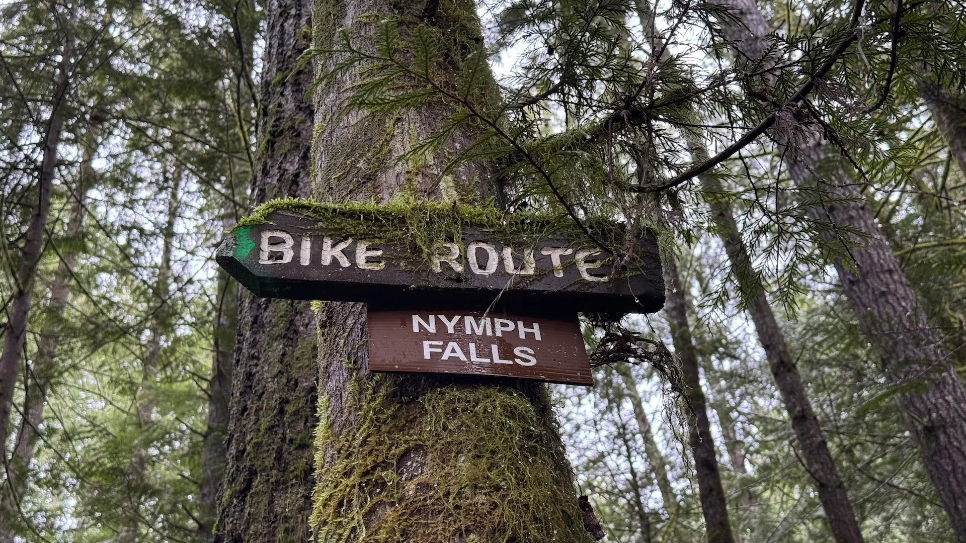 2026-02 Justine Mount Washington - 15.jpeg