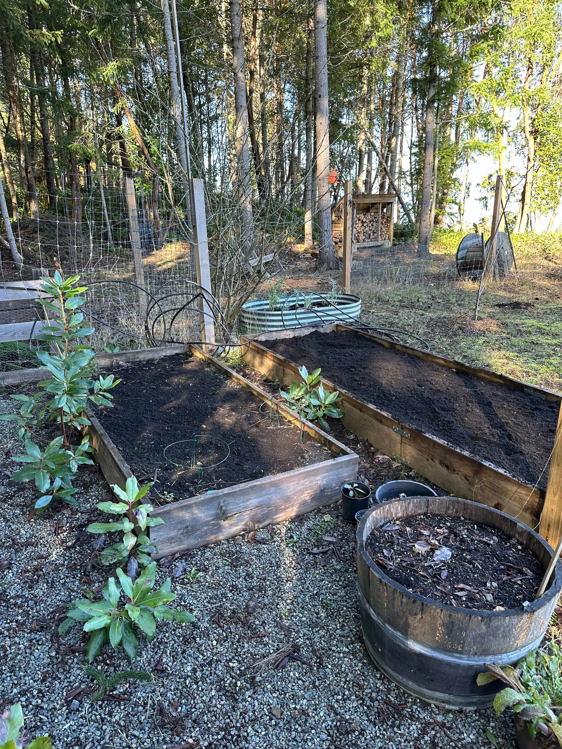  There was even some left for Justine’s flower boxes.  