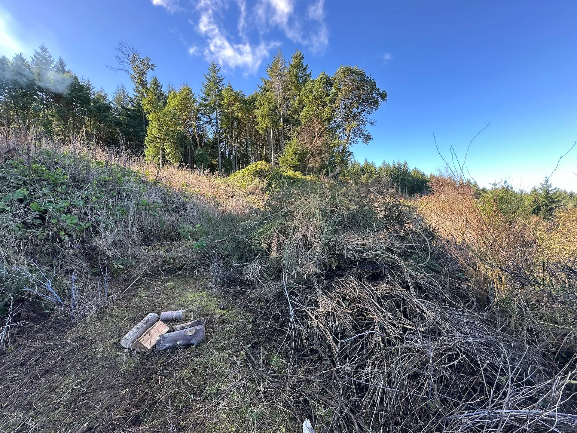  The pile that we were starting with.  