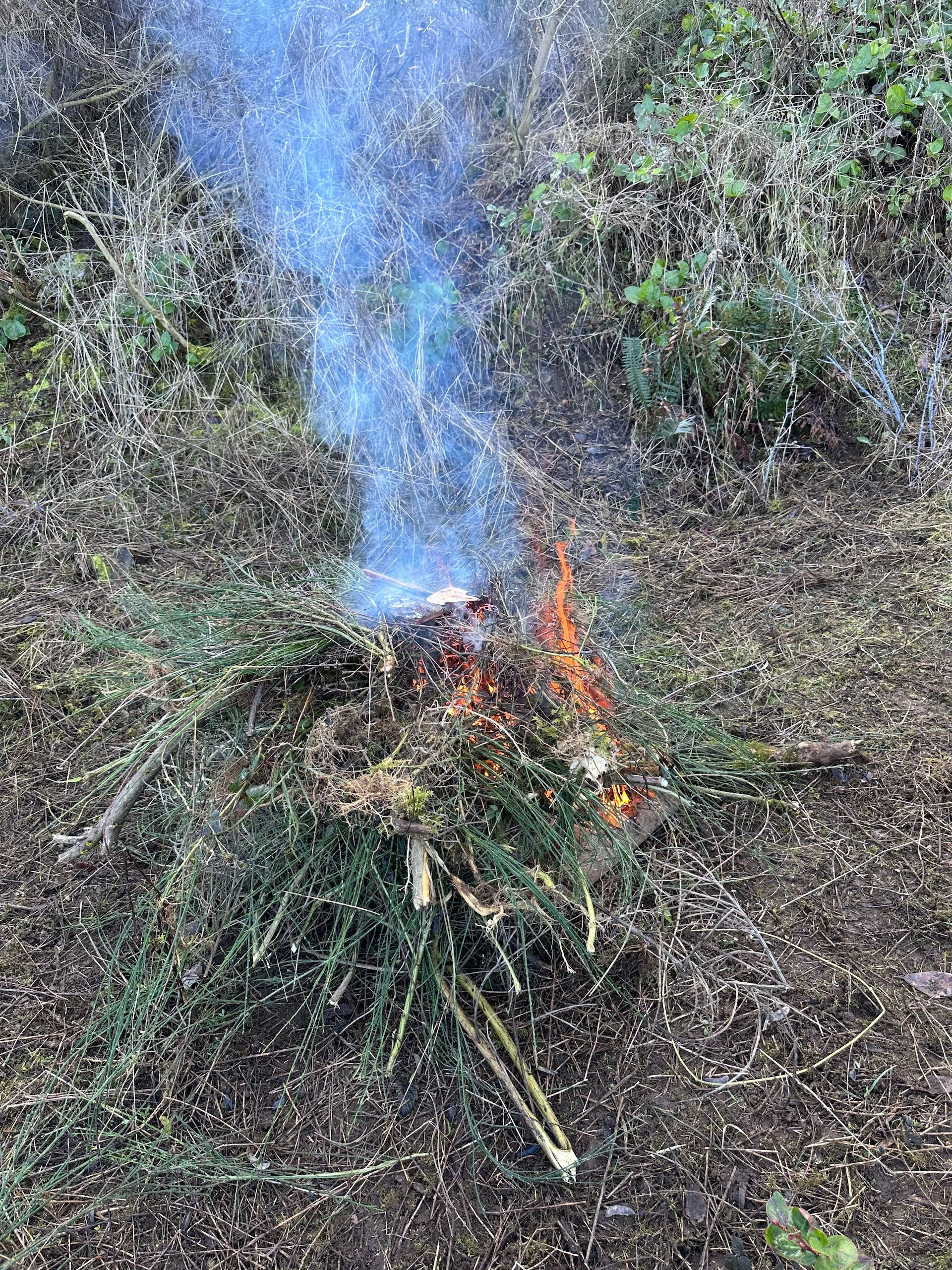  We always try and keep the size of the fire relatively small and under control.  