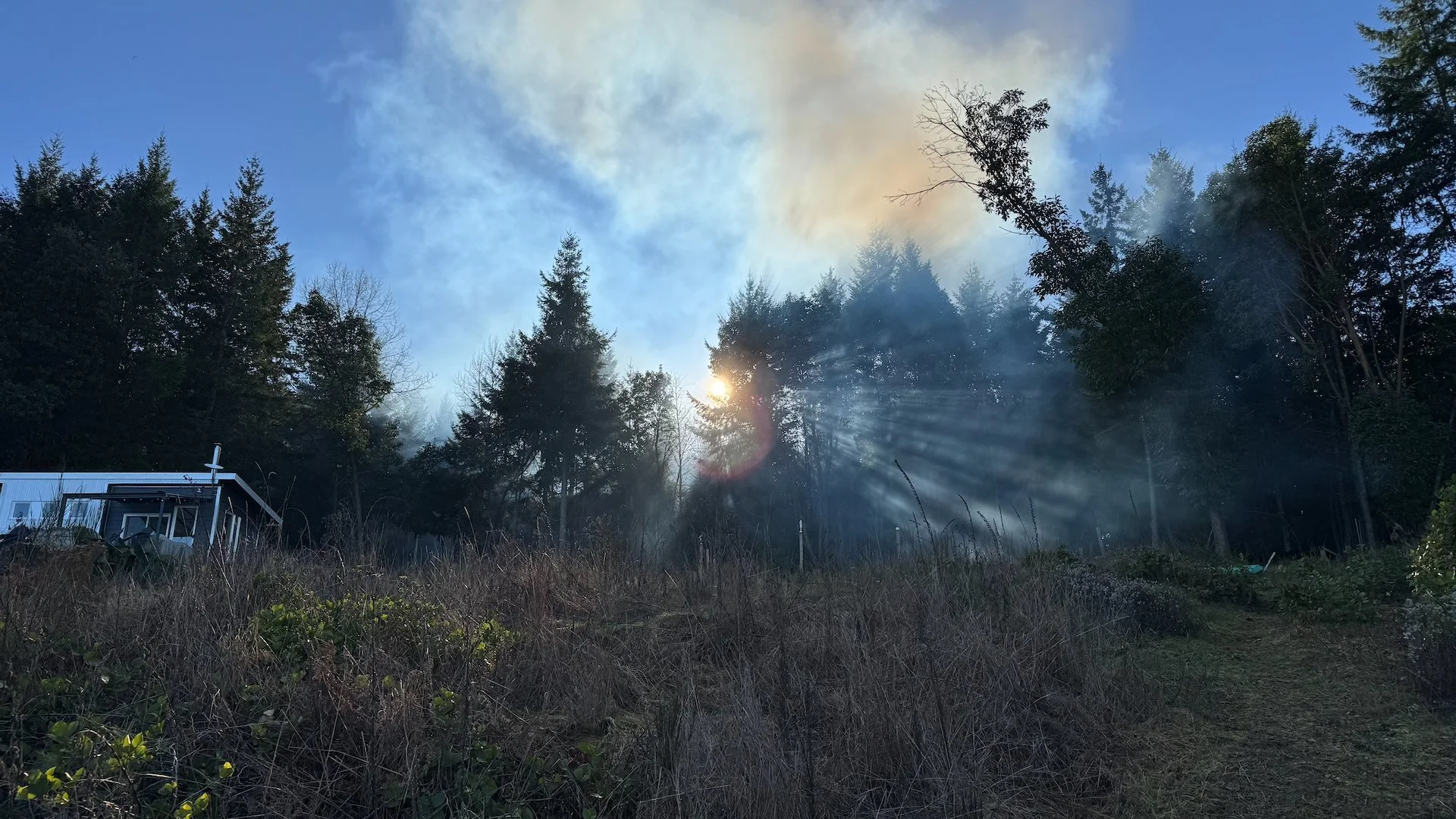  There was a a lot of wet, old broome that we wanted to burn. It created a lot of smoke, which looked cool in the sunshine. 