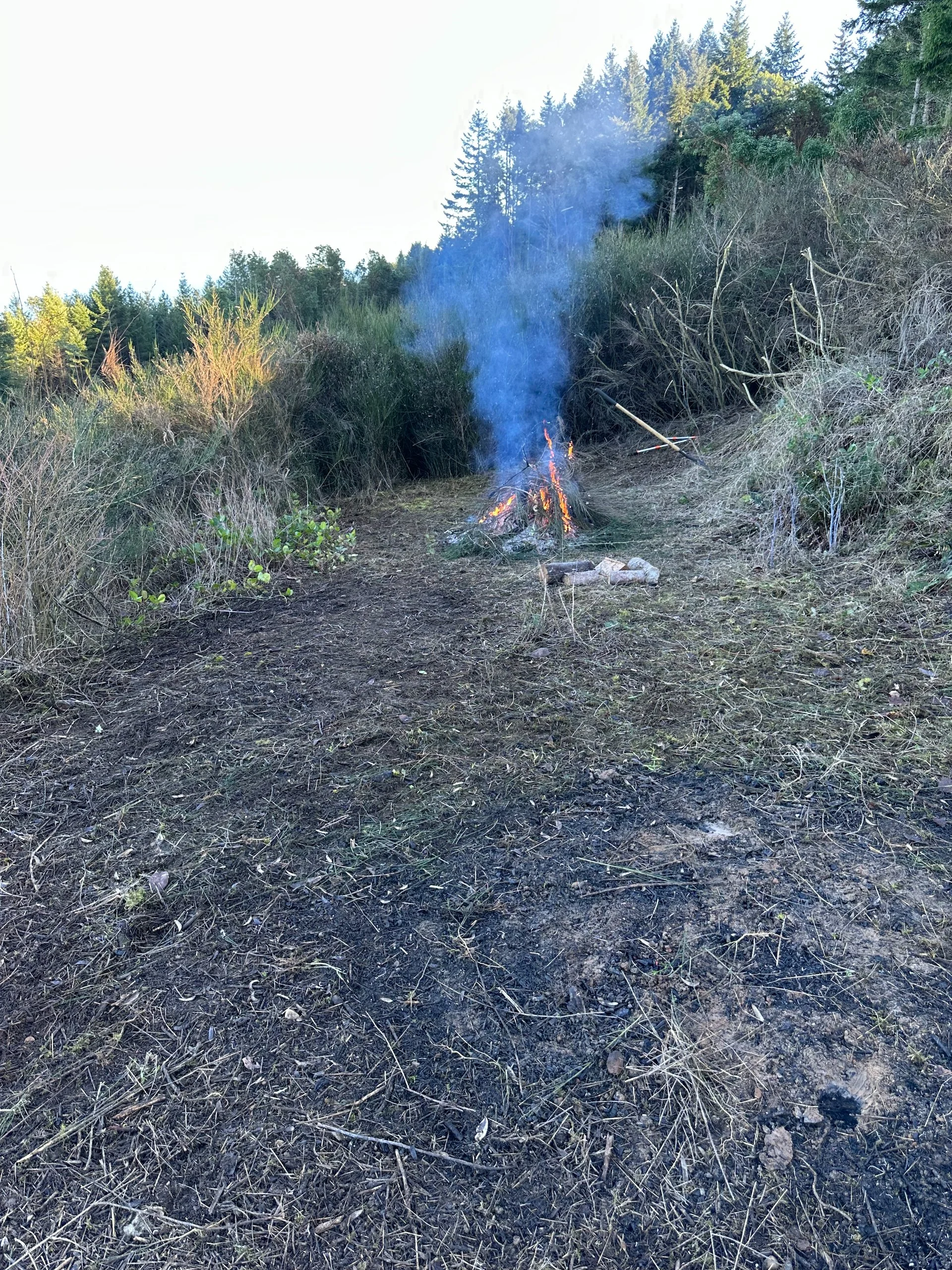 Galiano February 2026 - 26.jpeg