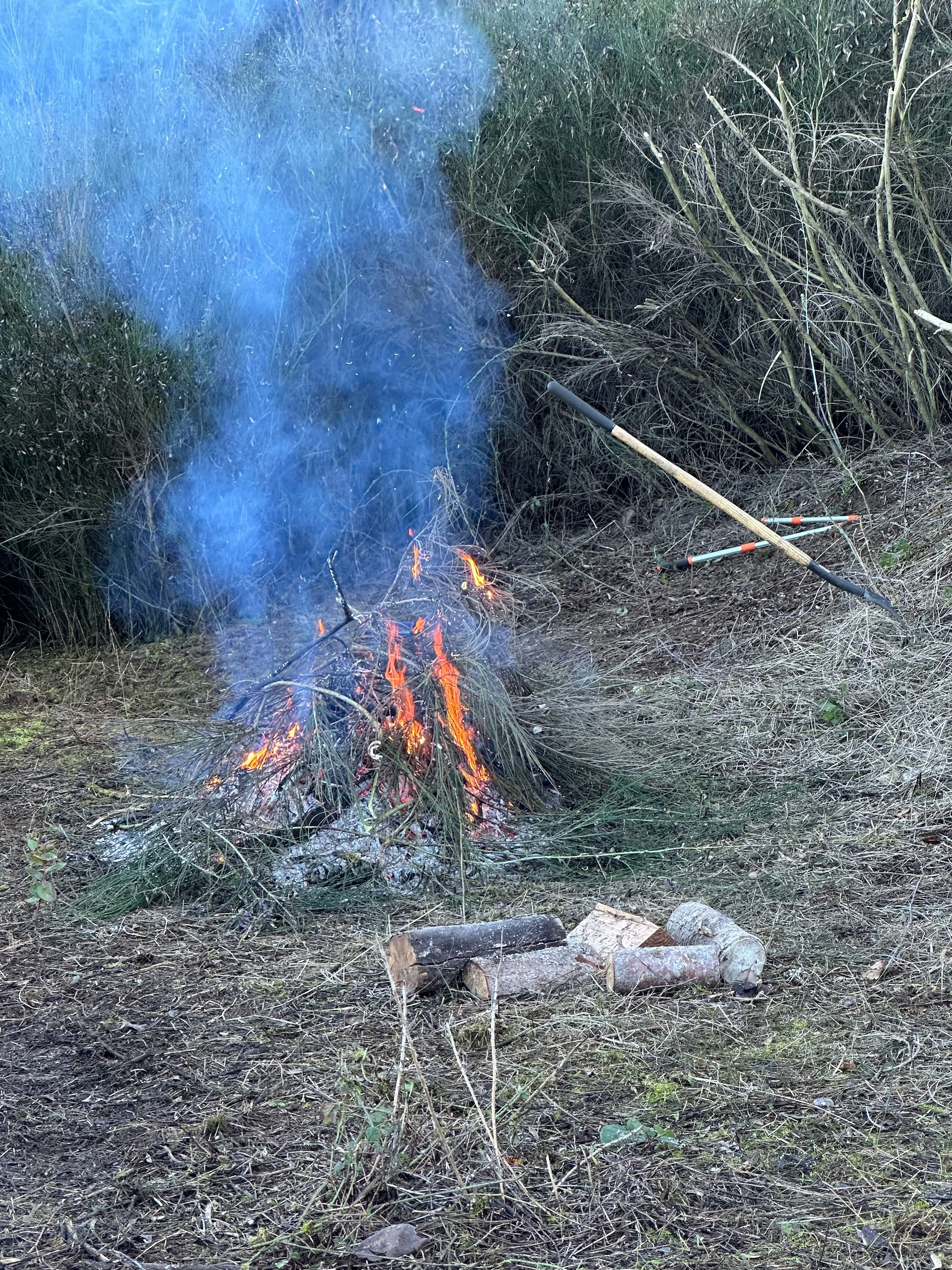  Eventually it was more ash than broome, and we were done! 