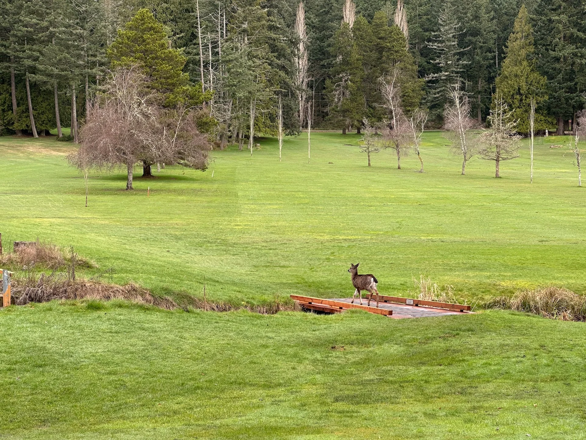 Galiano February 2026 - 31.jpeg