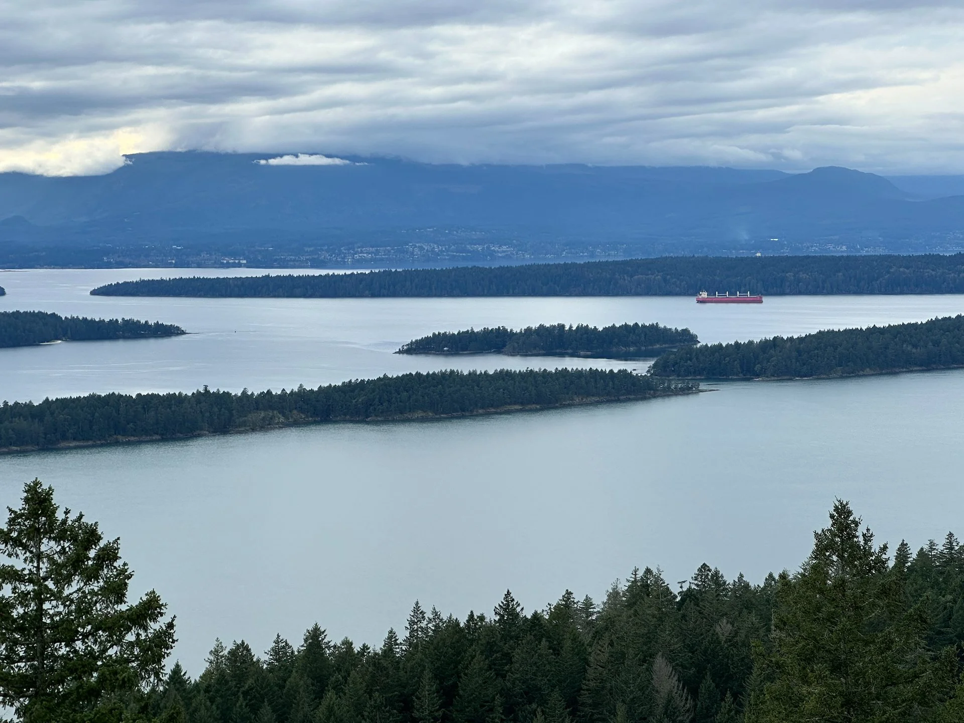 Galiano February 2026 - 35.jpeg