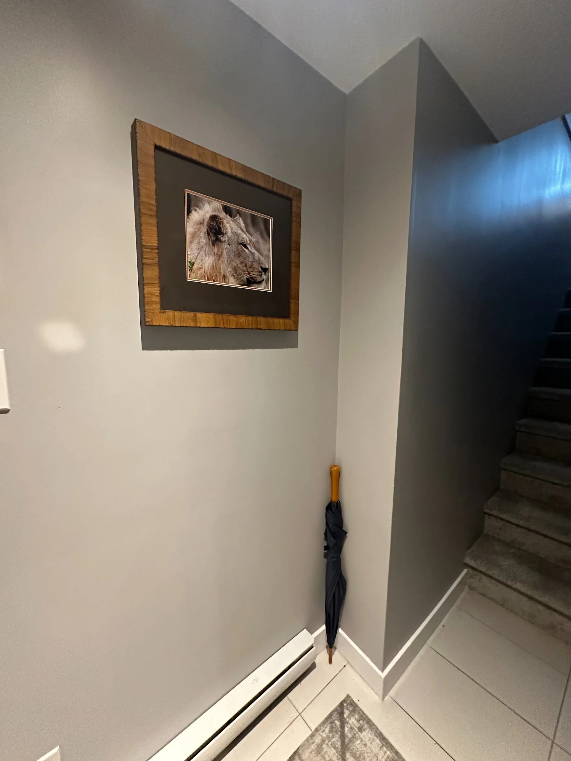 Renovation 3 - 13.jpeg