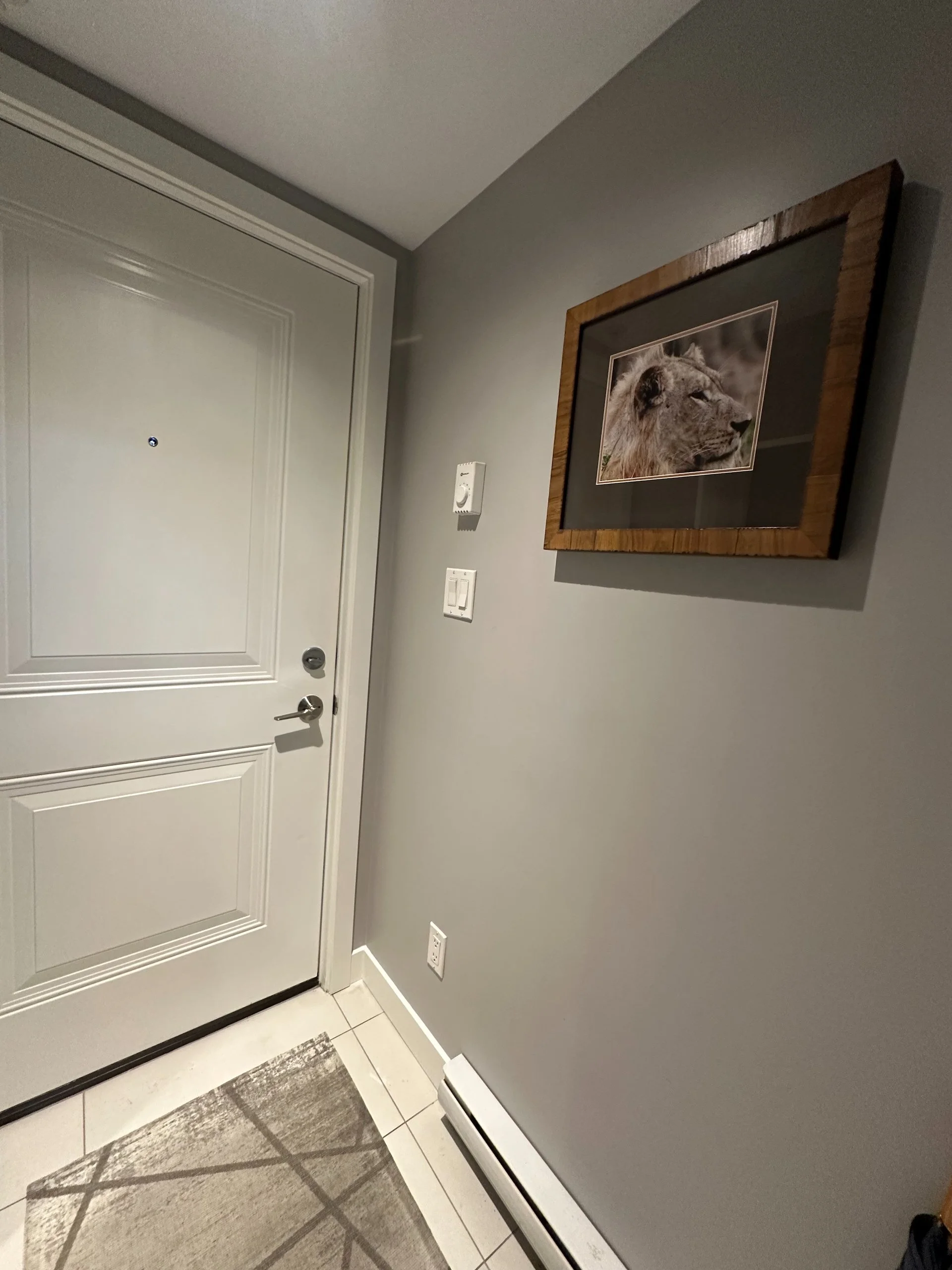Renovation 3 - 14.jpeg