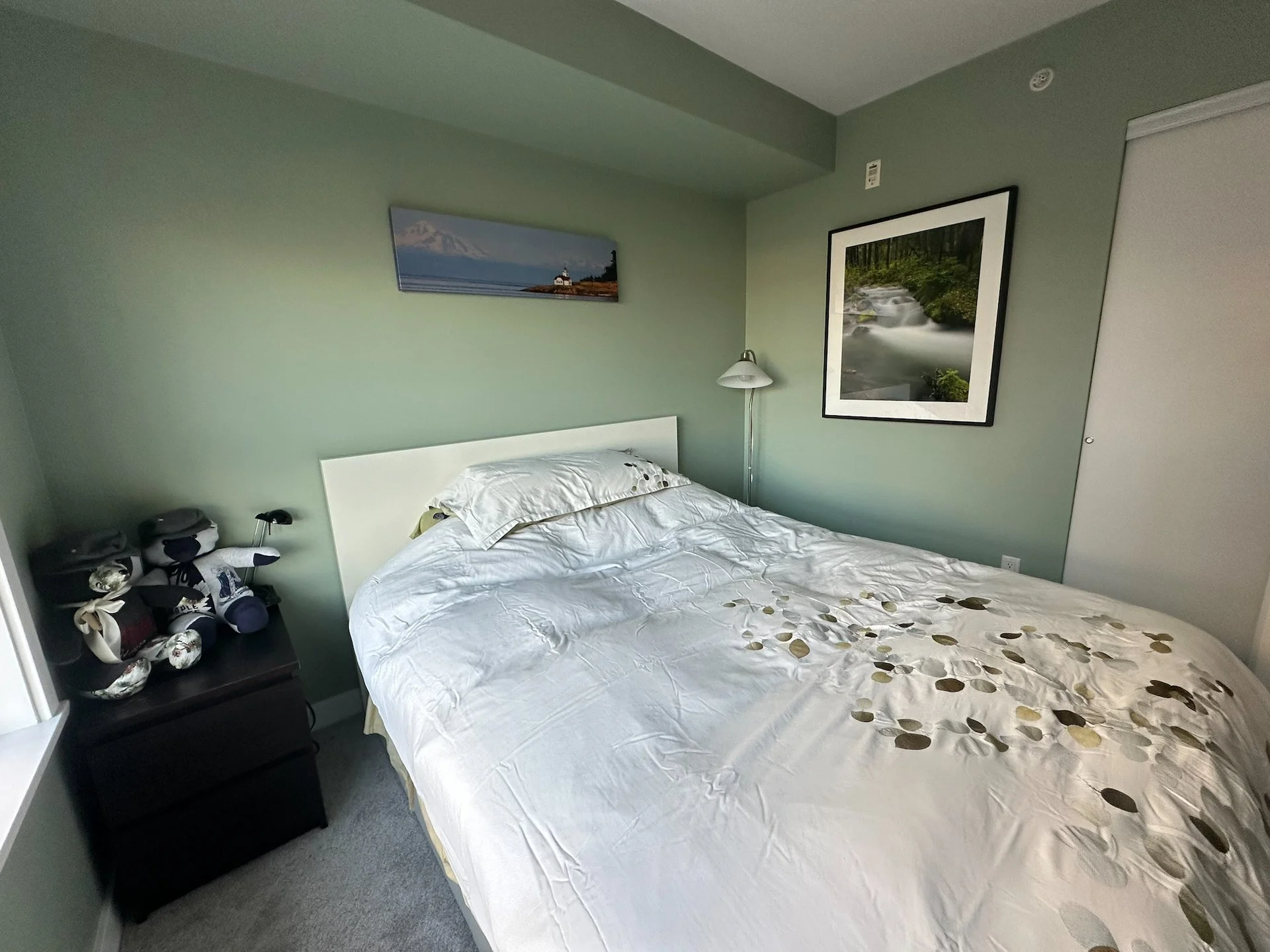  Some of the old art work and some new pieces - it’s a very outdoorsy theme, which goes well with the new colour. 