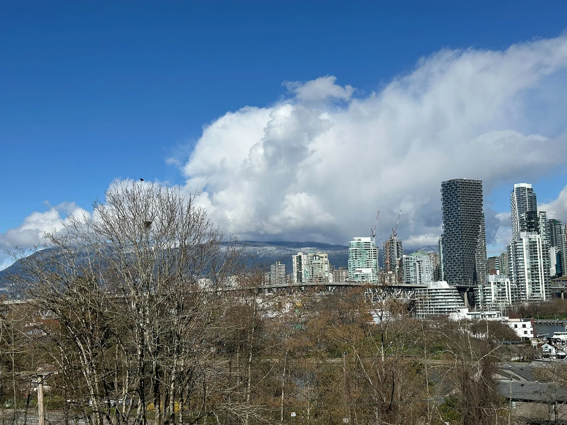  We had a beautiful clear, sunny (if a bit chilly) day to finally put it all together. The rain starts again tomorrow, so we will see how it holds up. 