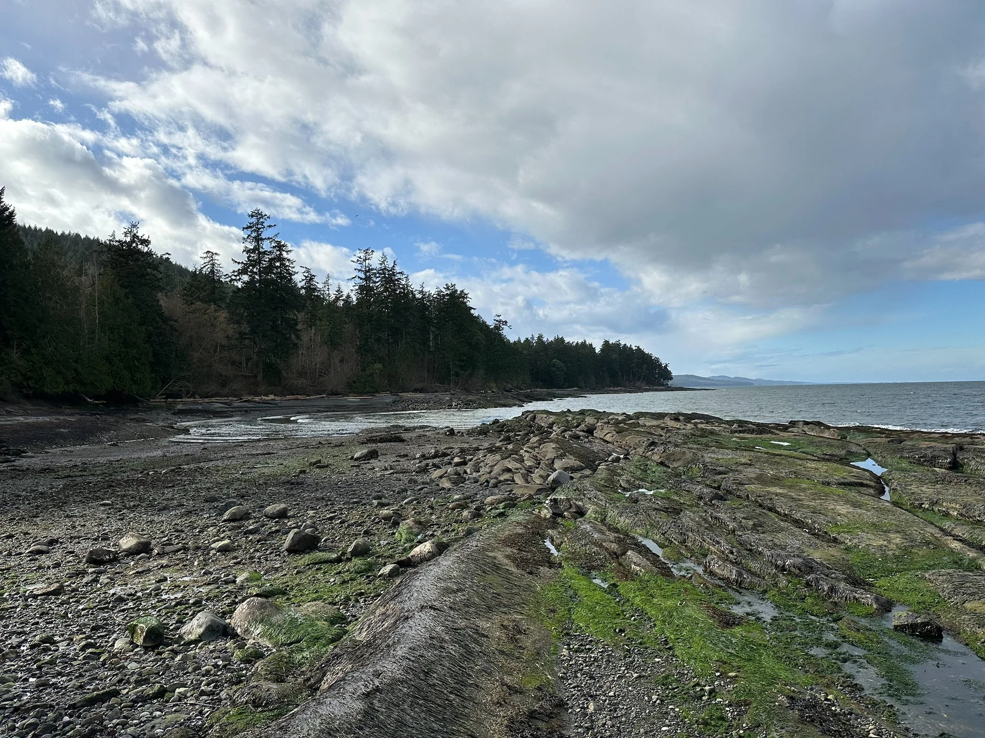  The tide was out at Cable Bay 