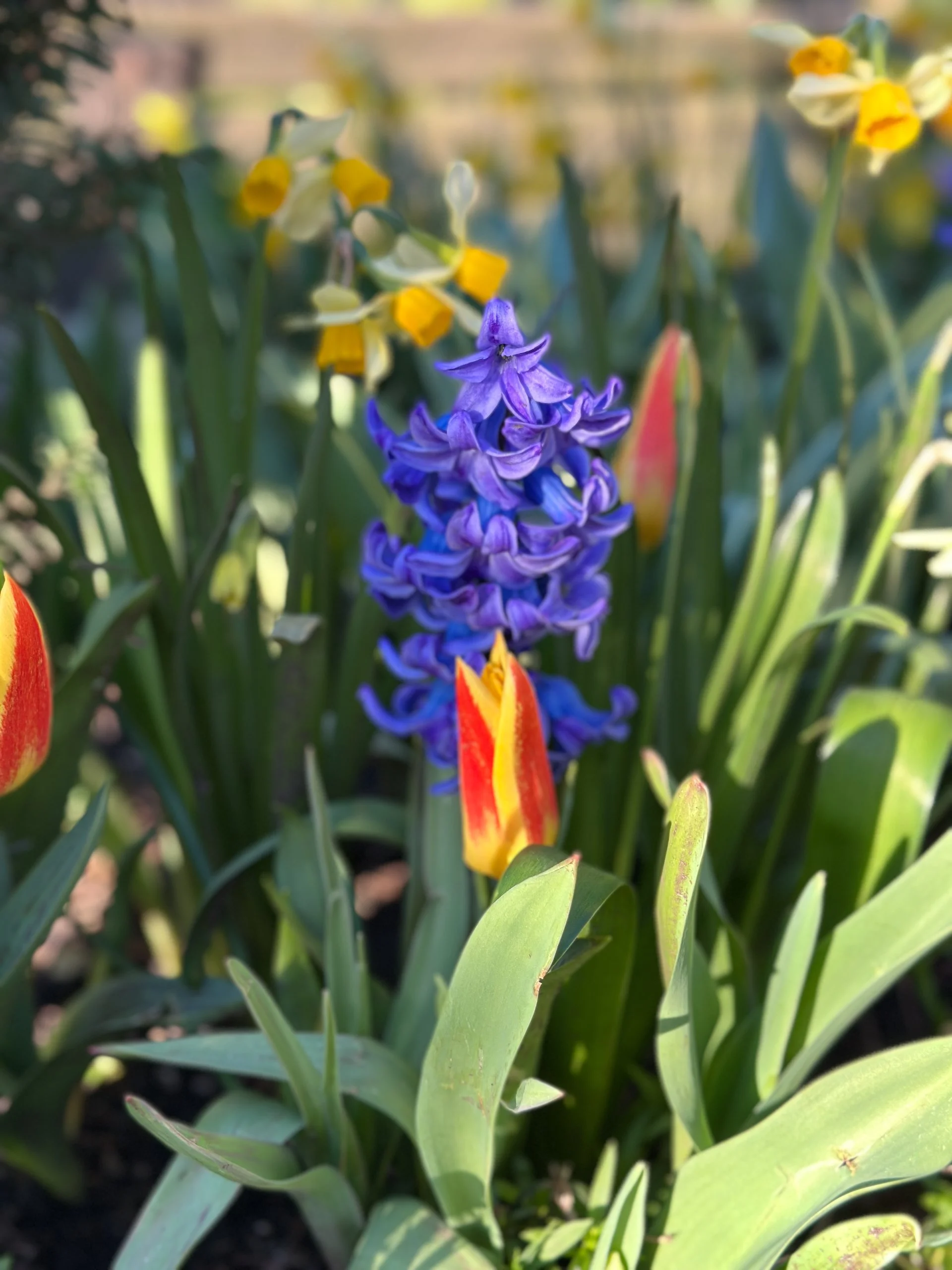  The good news is that we were back to normal by the time I got back home. 