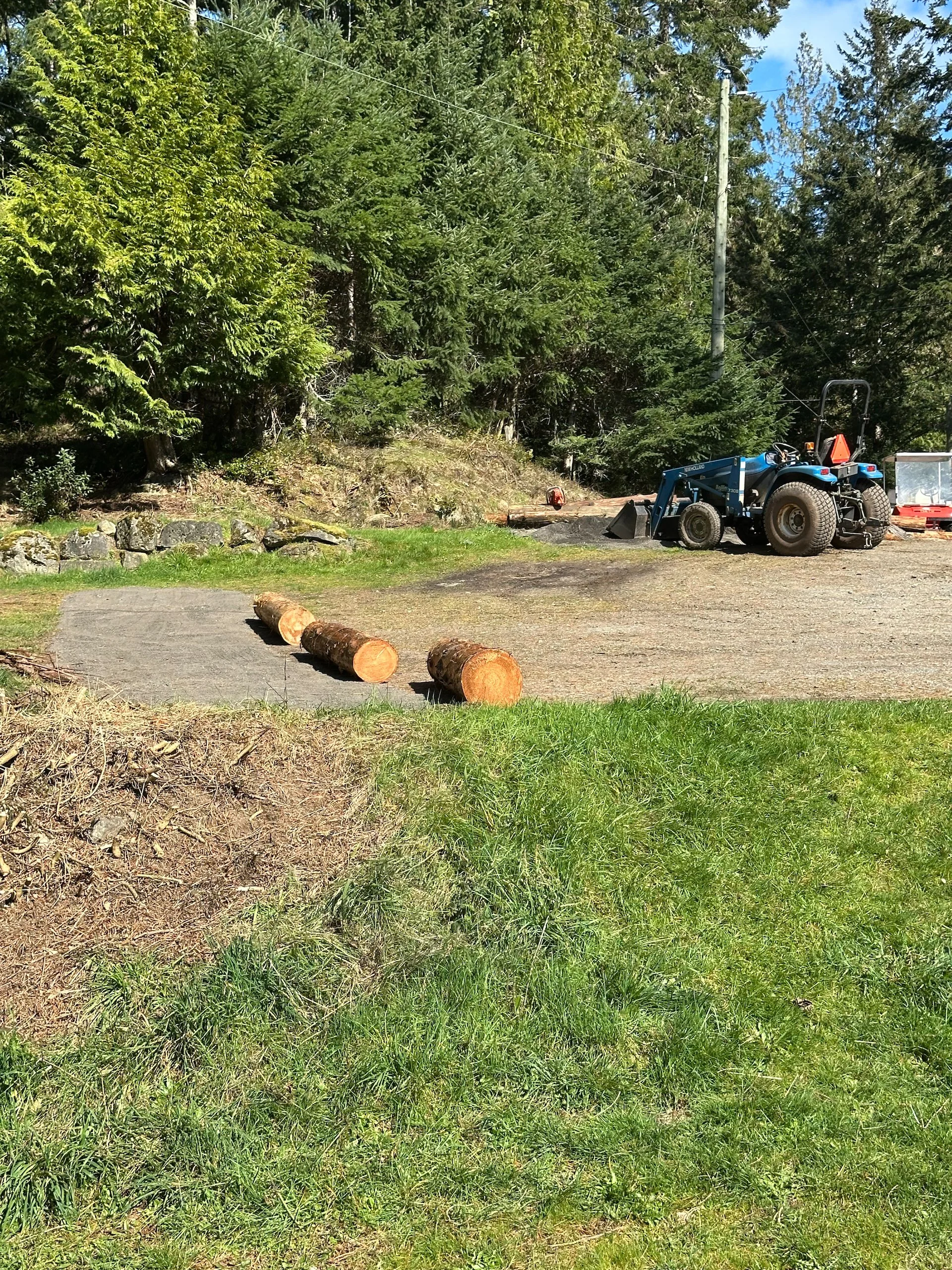  On the side part of the lot, the logs were put in place.  