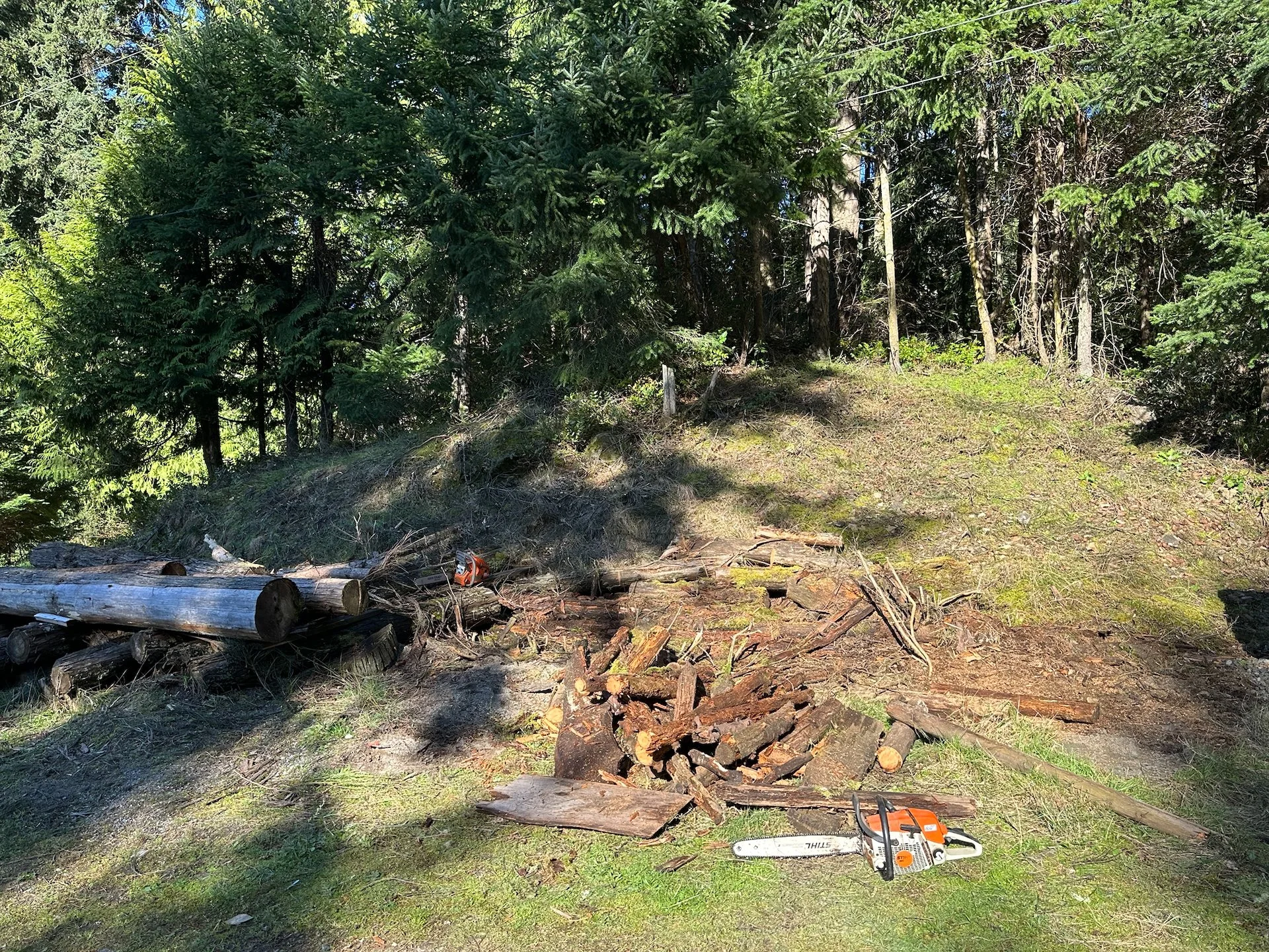  Up at the top of the lot there was a huge pile of old, mostly rotting logs. I spent a good 2-3 hours with the chainsaw cutting it all up so it could be added to the burn pile. 