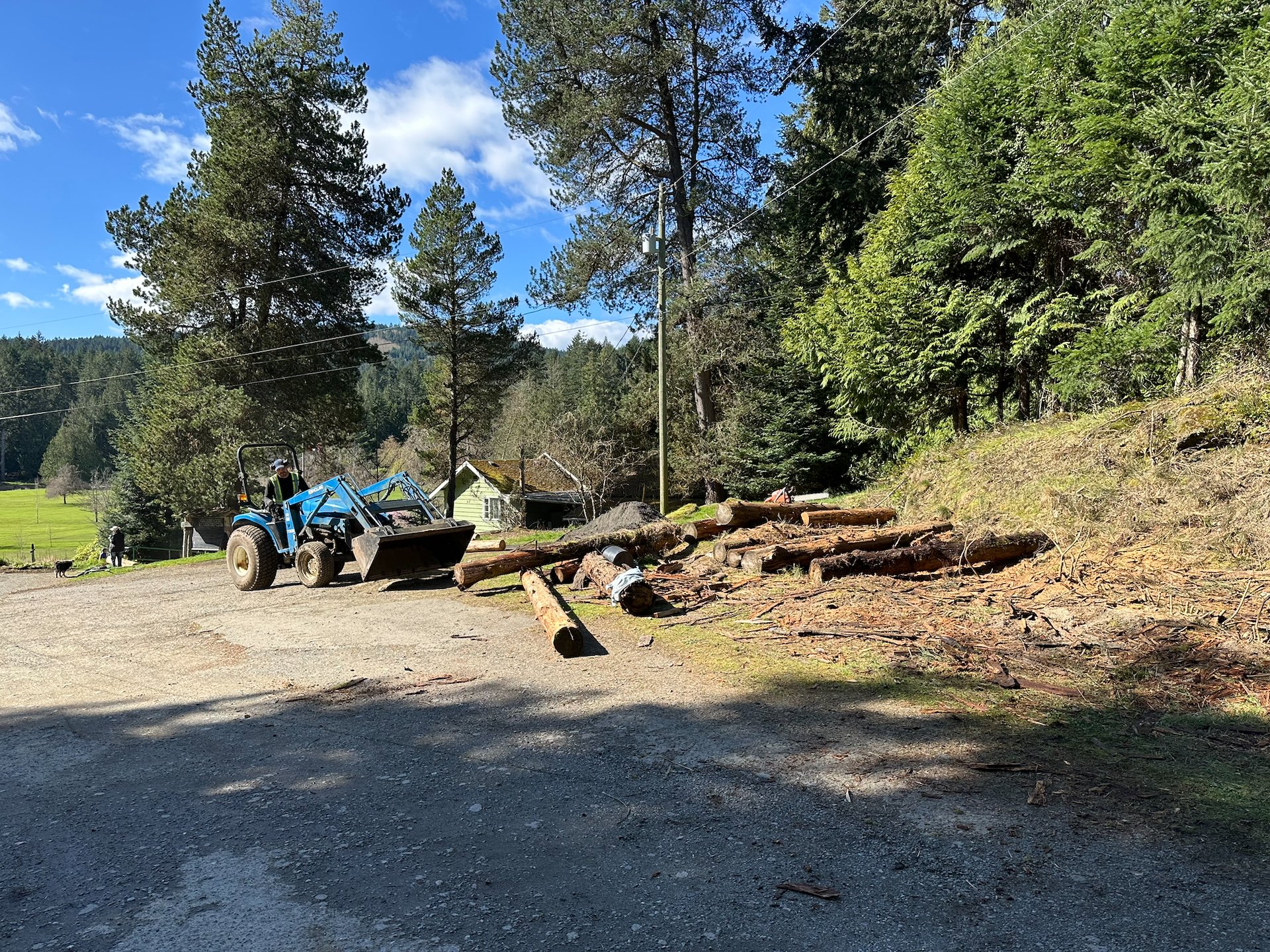  All cleaned up, other than the logs that we were going to use. 