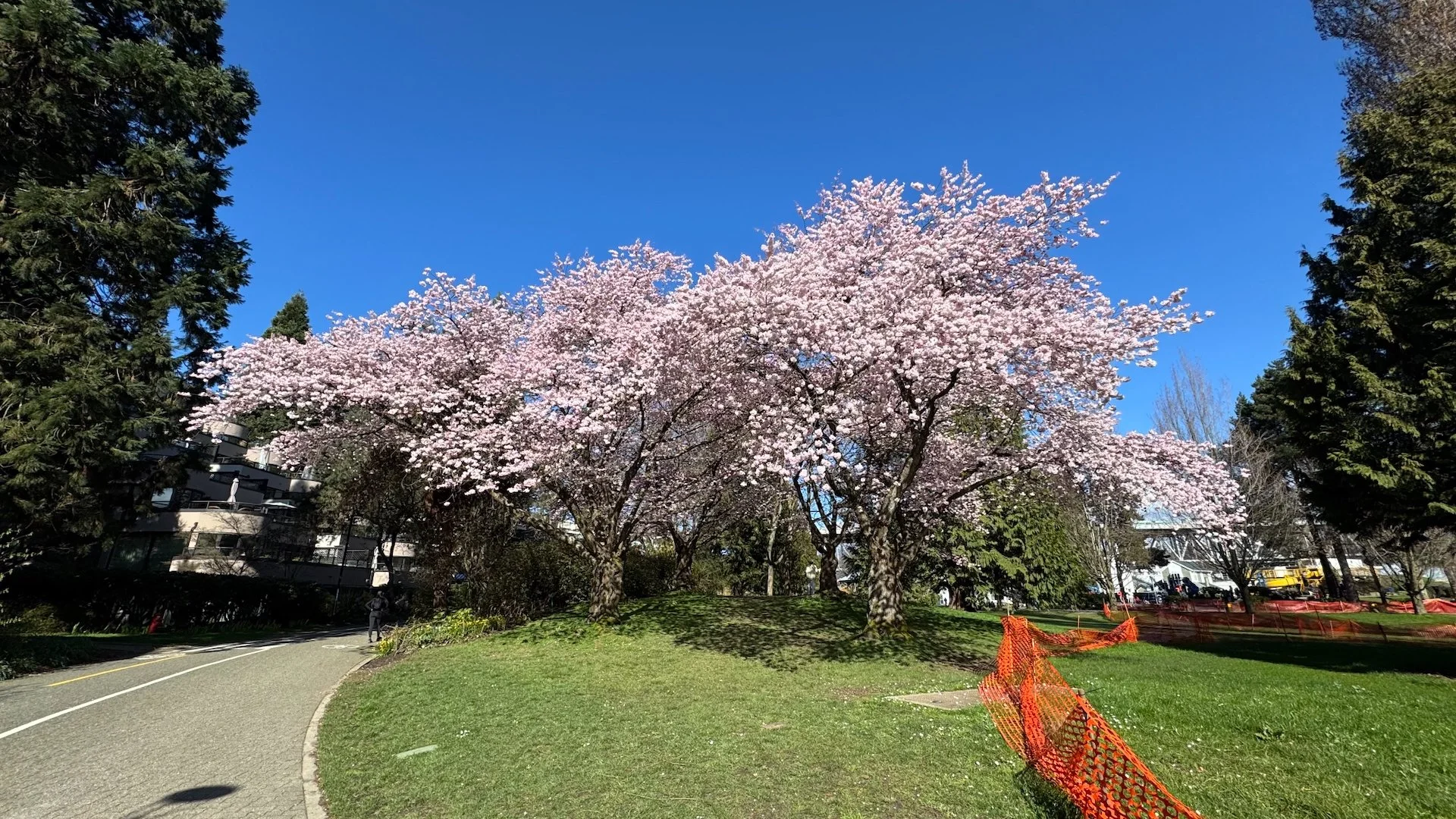 Galiano Golf Spring Work Party - 11.jpeg