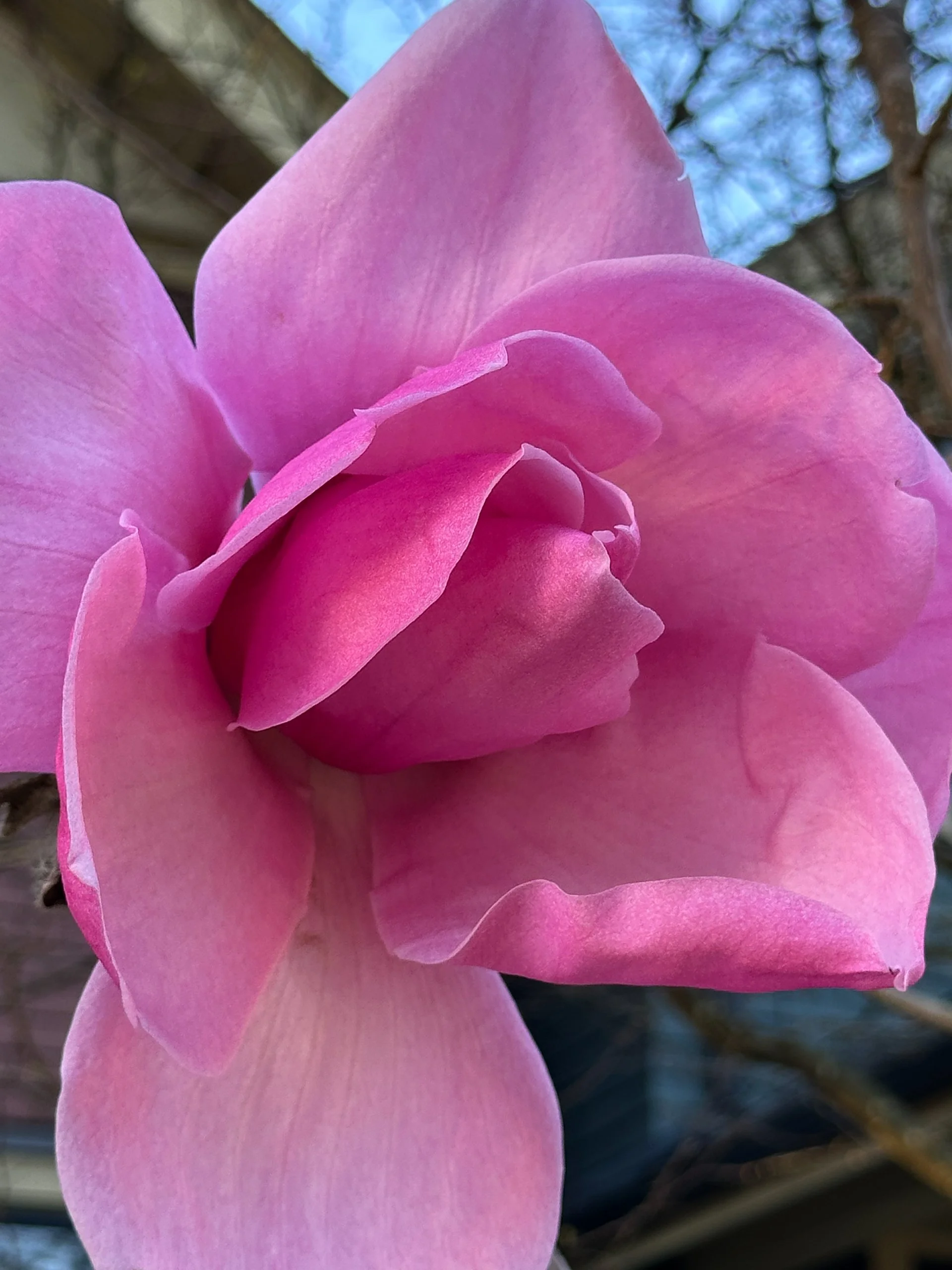 Galiano Golf Spring Work Party - 35.jpeg