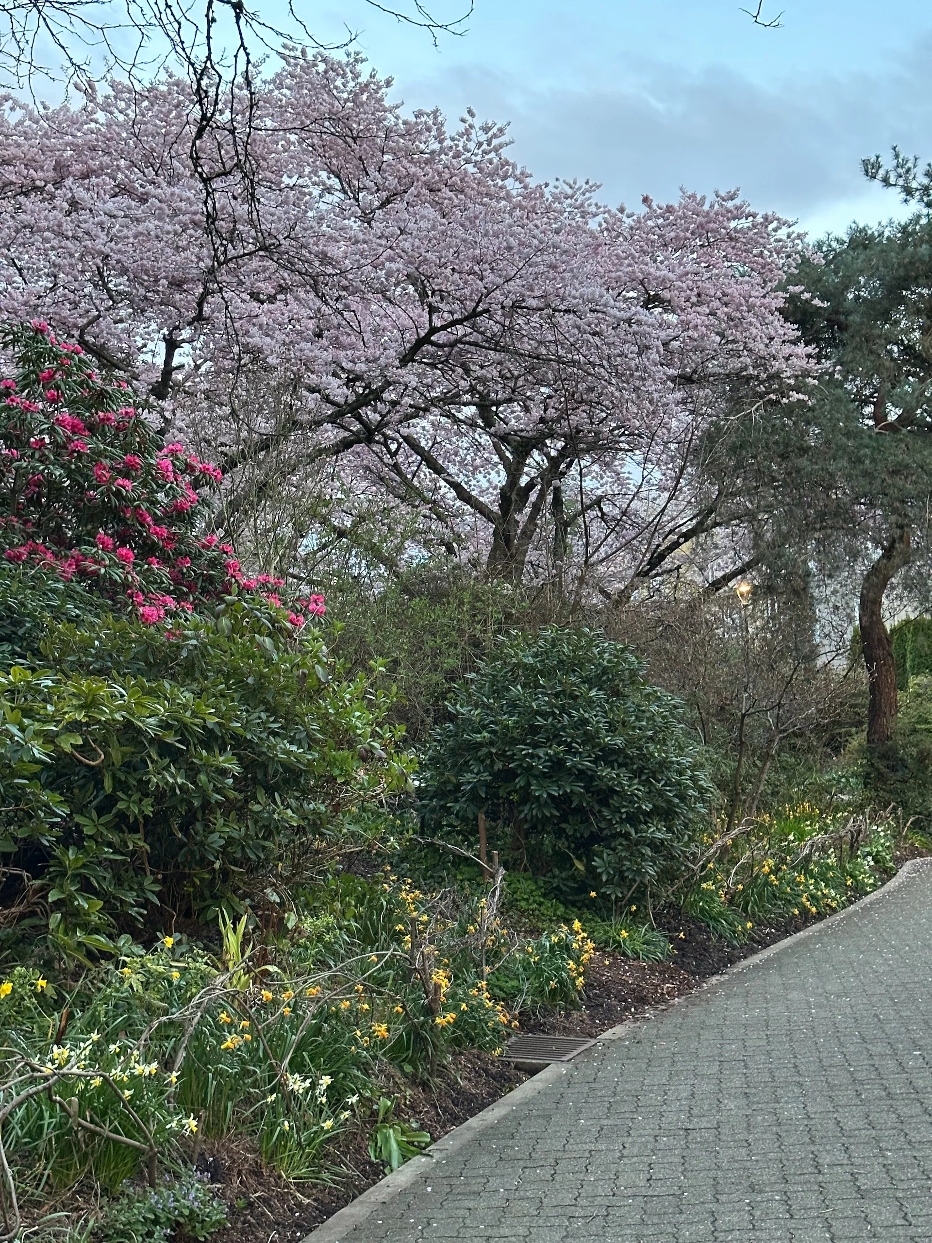 Galiano Golf Spring Work Party - 36.jpeg