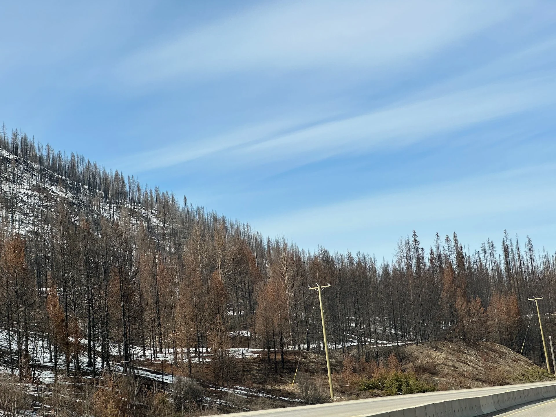  The fires came all the way down to the road. 