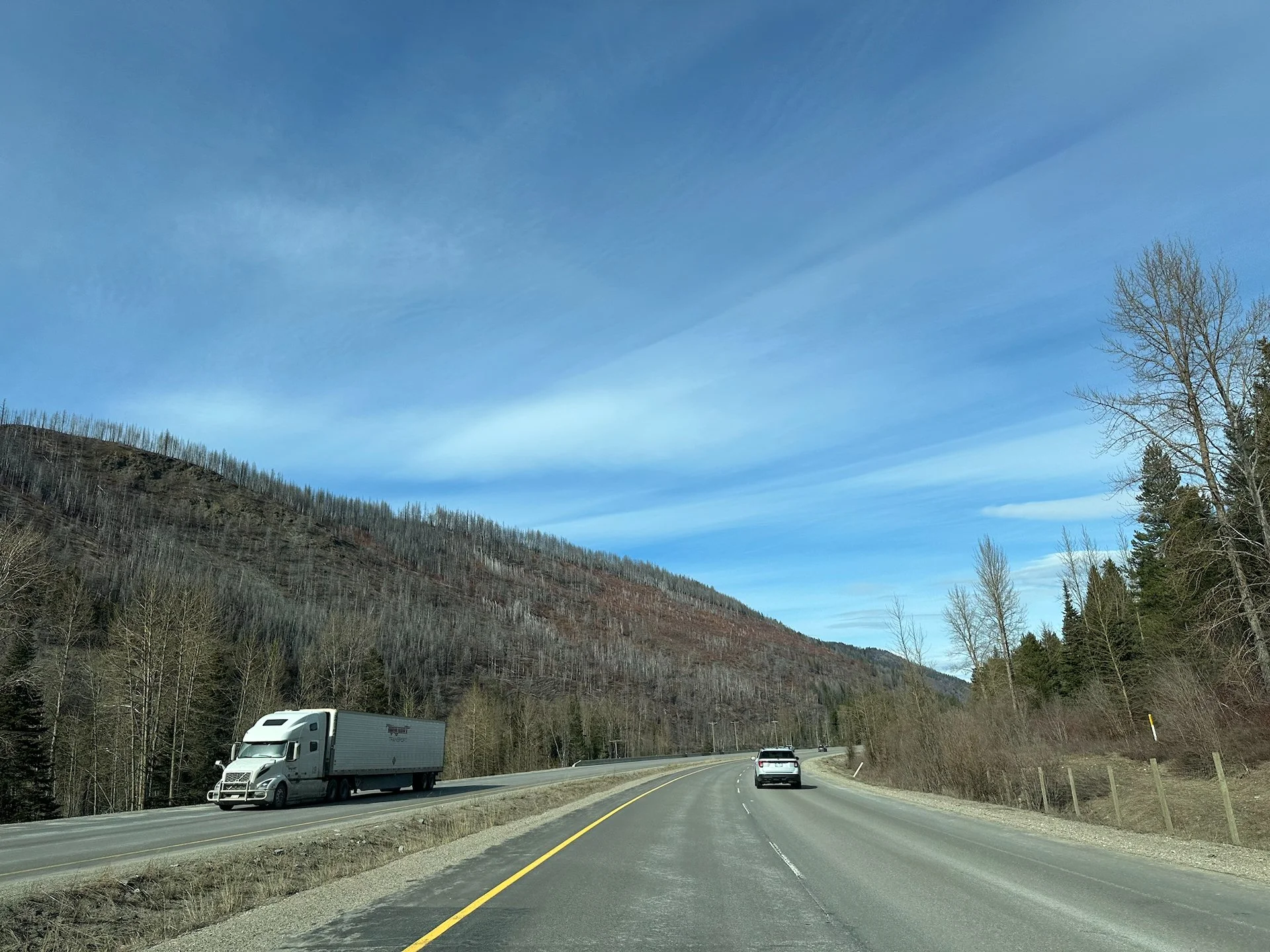  The scale of it was crazy - whole hillsides went up in the fires.  