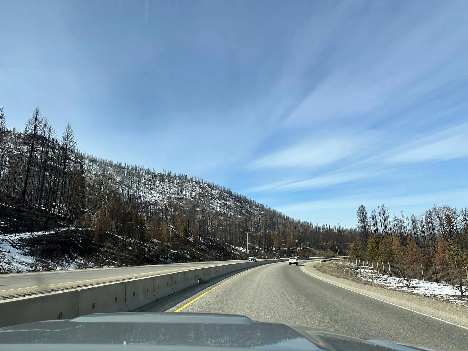  But soon we got into areas where you could really see the fire damage. 