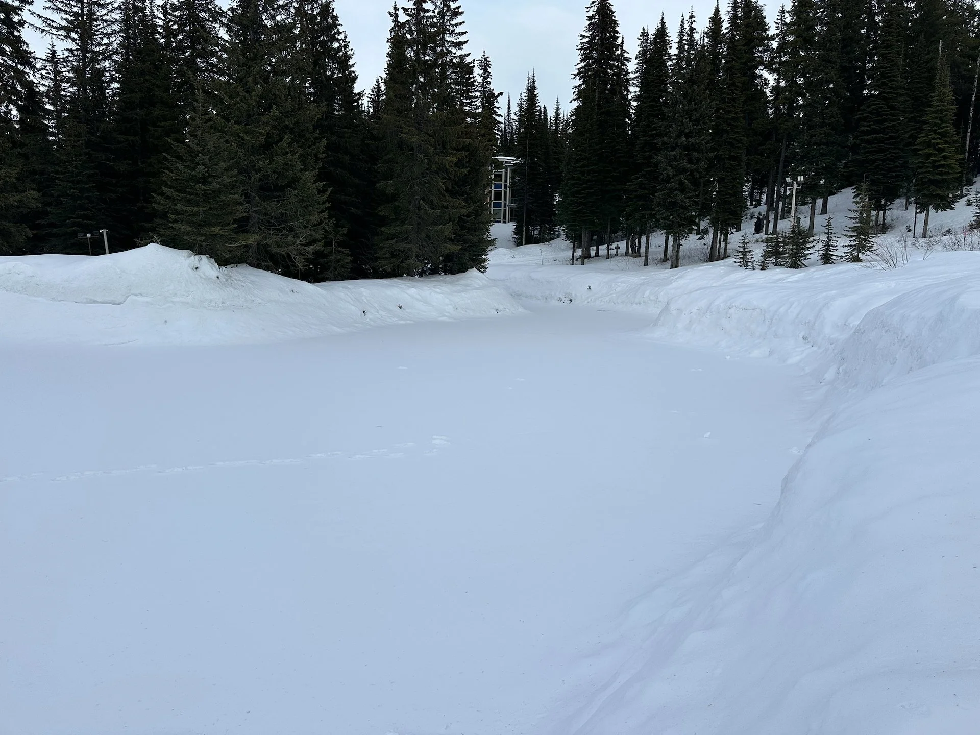 2026-03 Silver Star - 28.jpeg