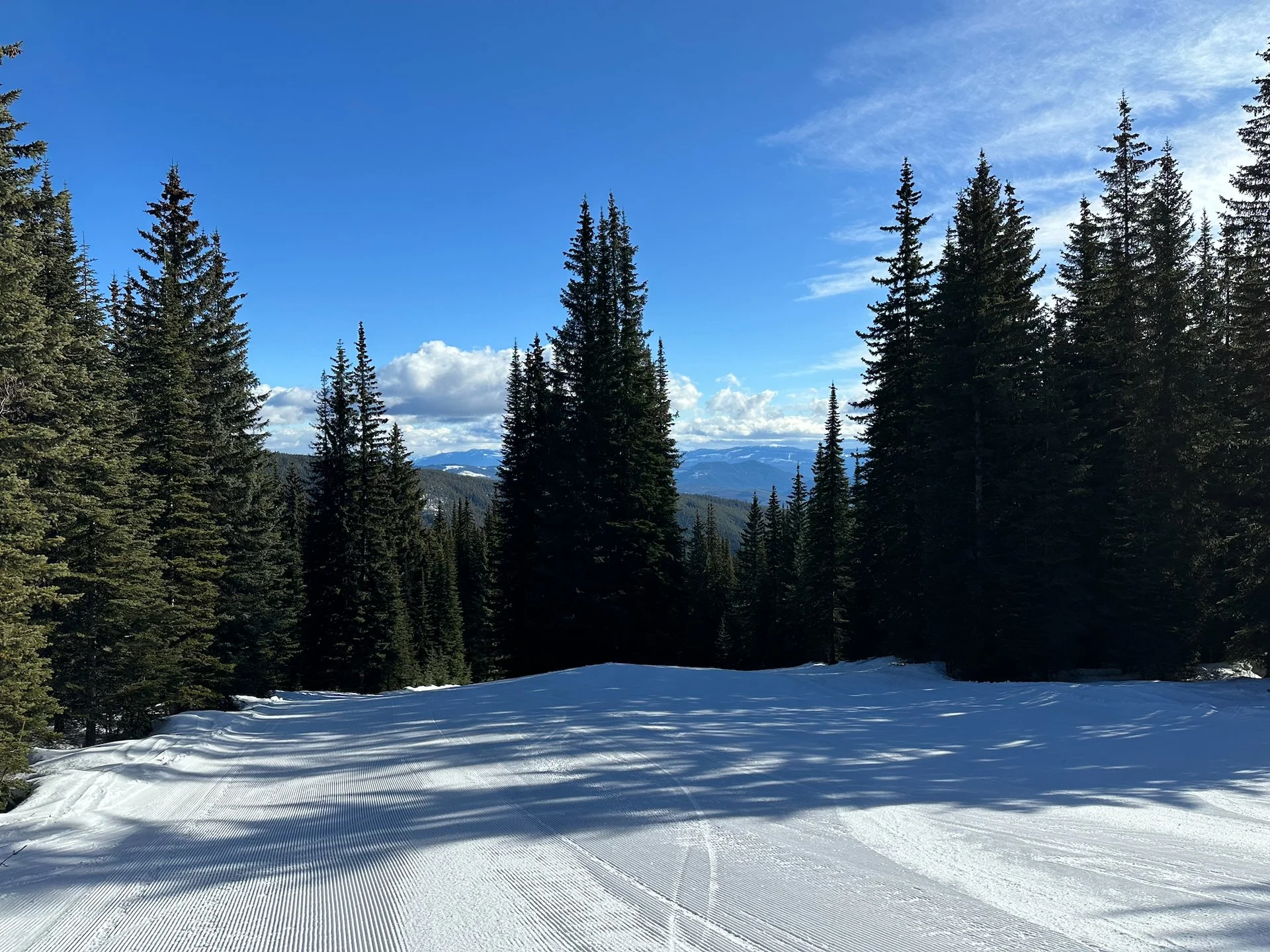  It was a beautiful, sunny day with lots of fresh groomers. 