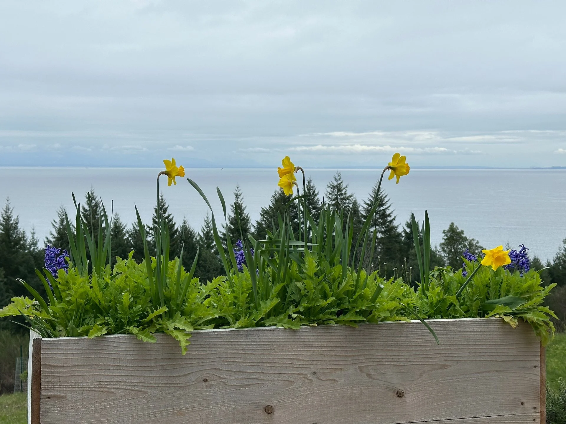  The box on the end of the deck is the fullest it’s ever been! 