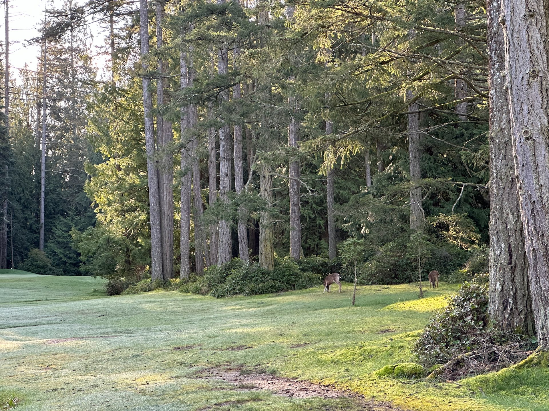 2026-04 Galiano - Mound Fencing - 16.jpeg