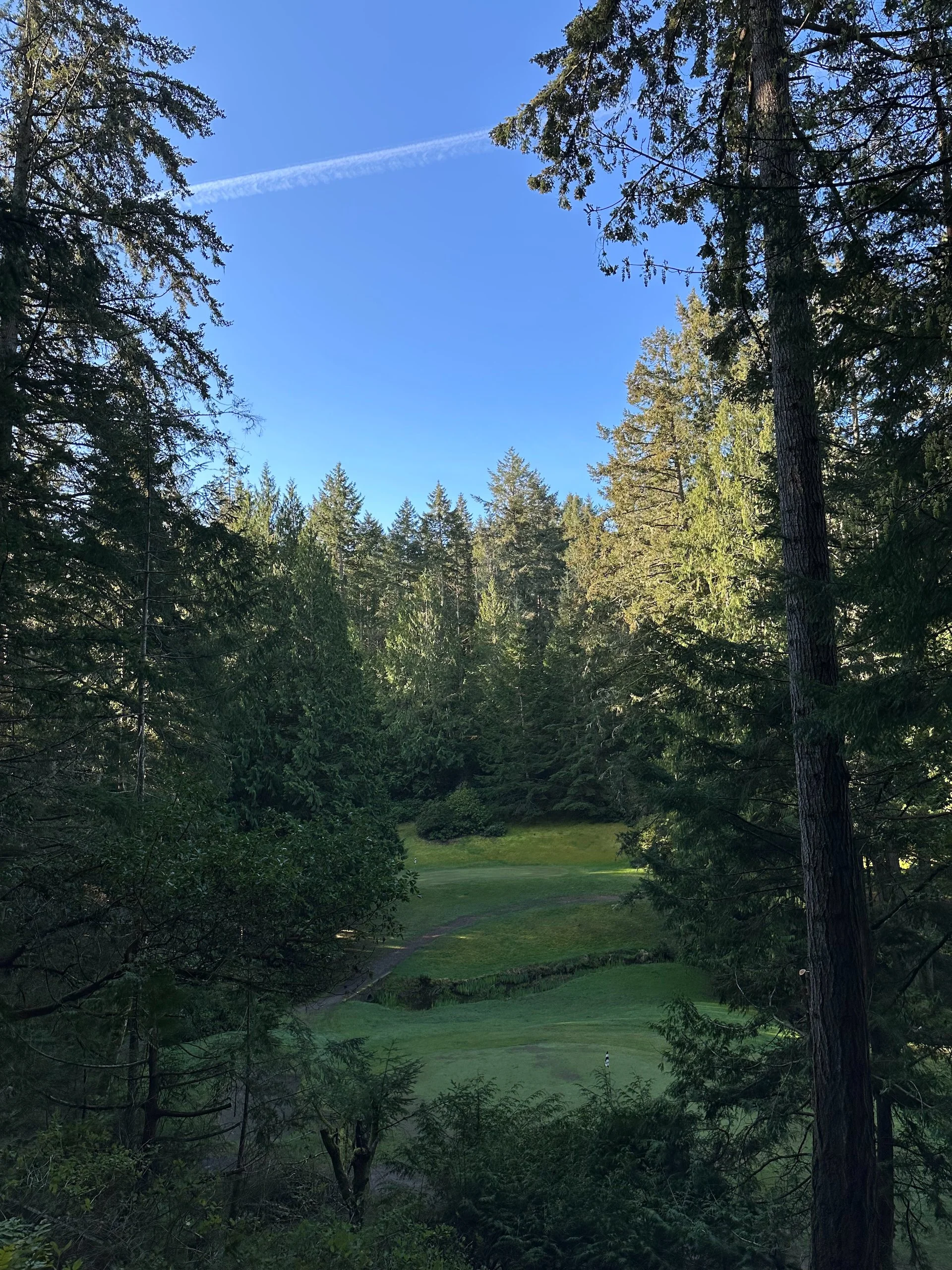  The grounds crew have been busy and they did a great job clearing tree limbs from the elevated tee box. 