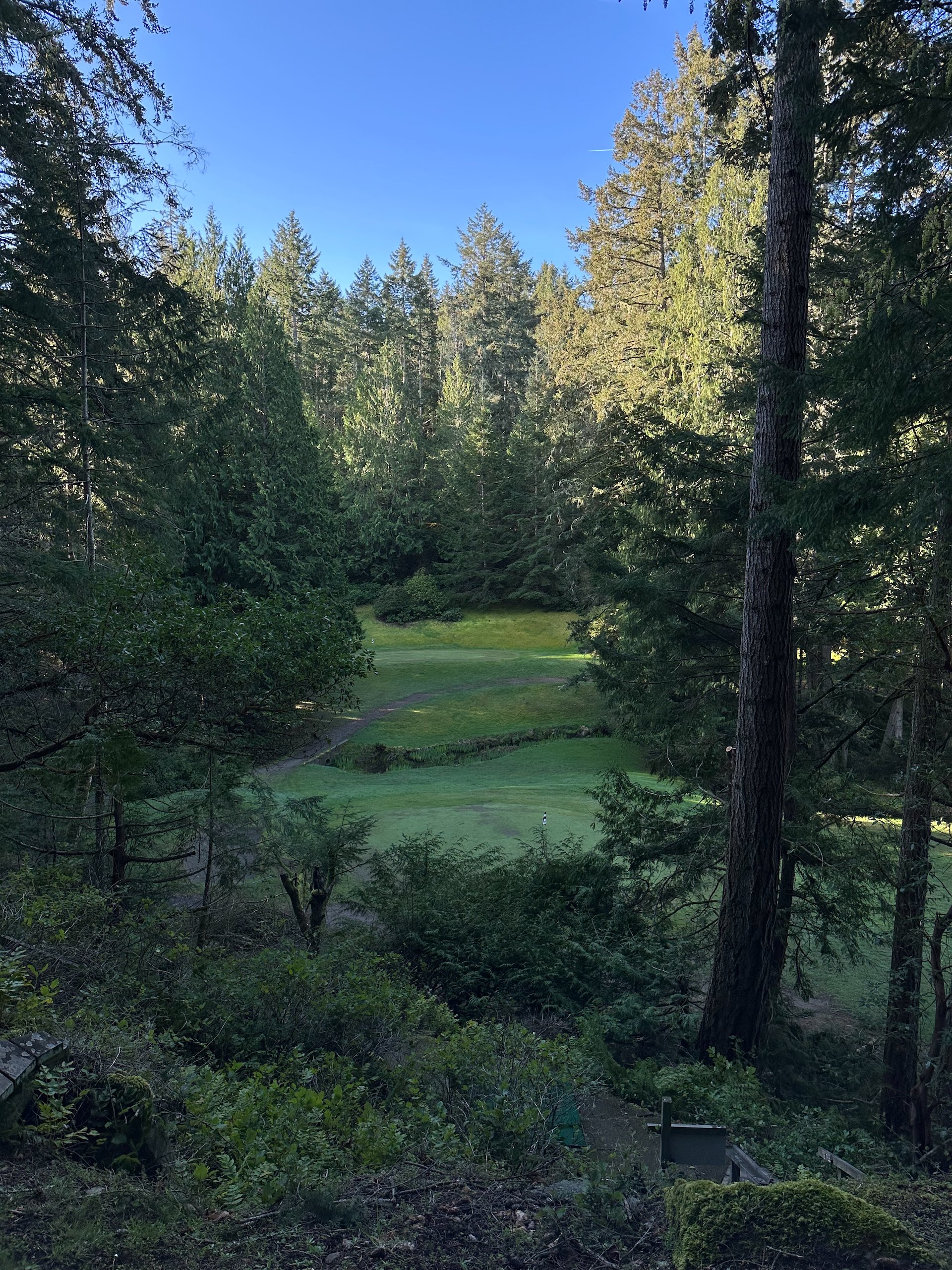 2026-04 Galiano - Mound Fencing - 18.jpeg