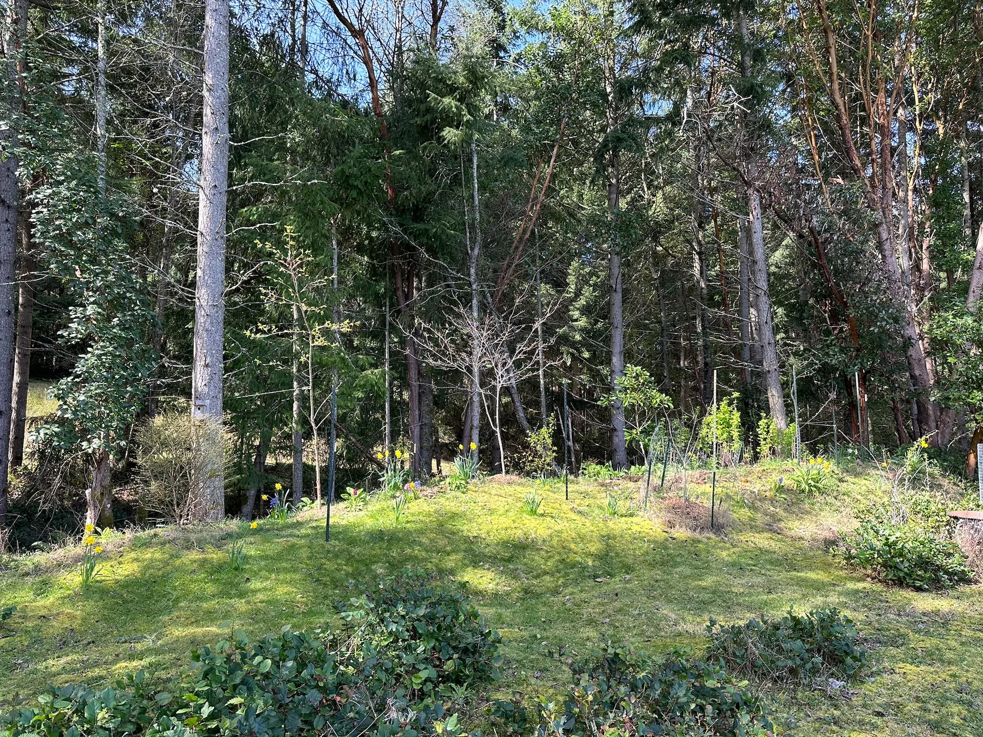  Starting to install some new posts. 