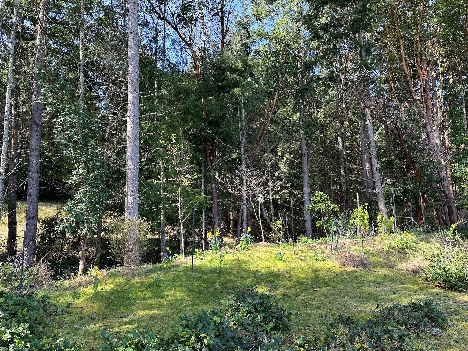  All the new posts in. 