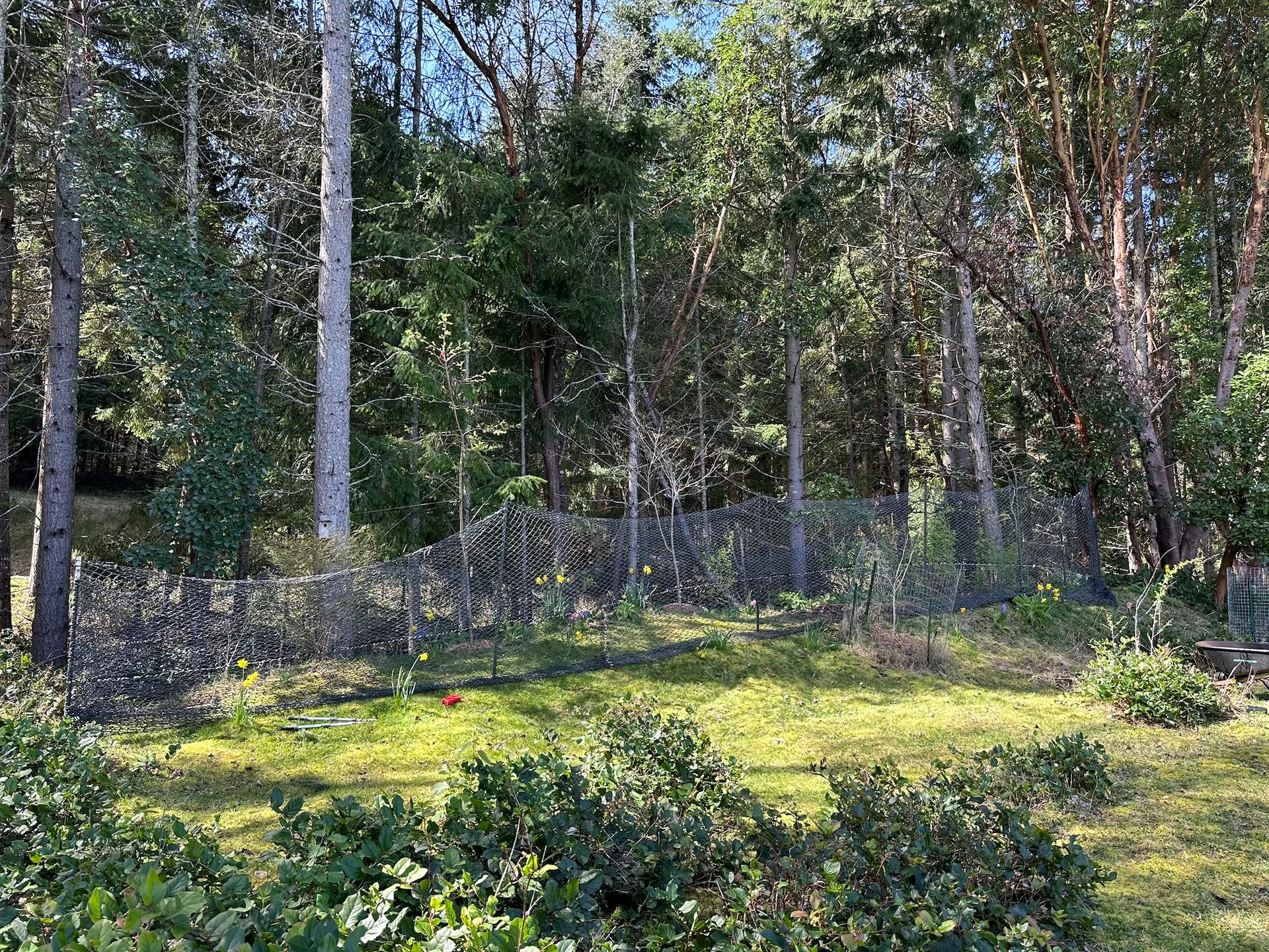  And the netting all hung. 