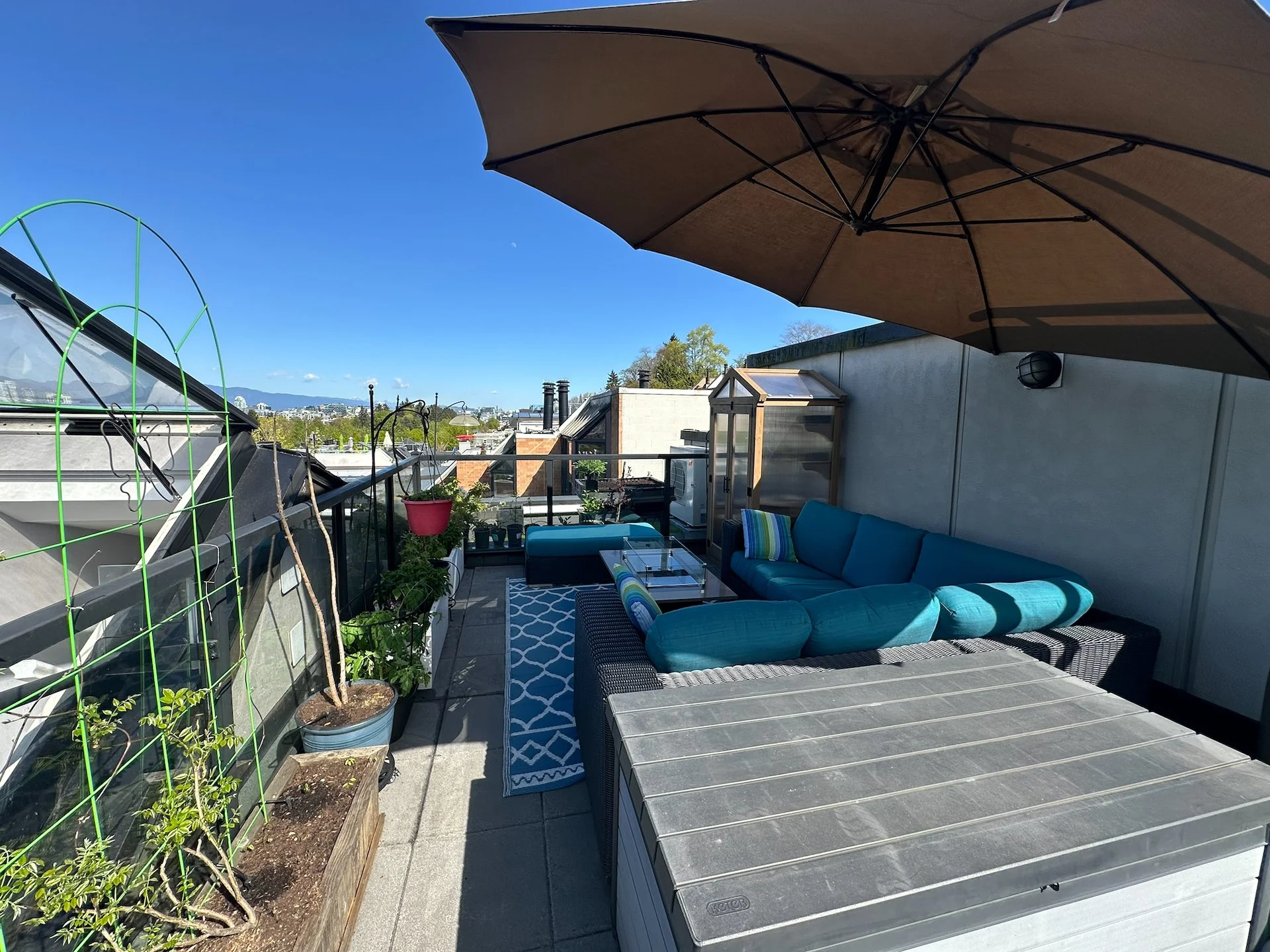  A wide angle view. On the left, the wisteria I bought at the end of the season last year seems to be thriving and the transplanting seems to have gone OK.  
