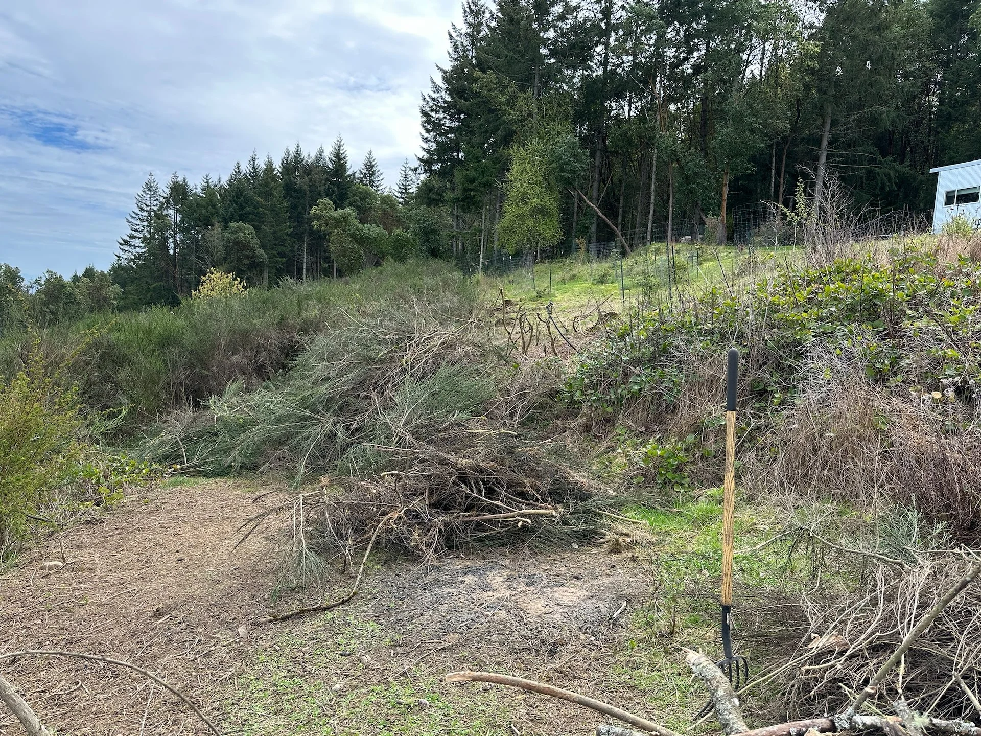  This was the starting point for the clean up. 