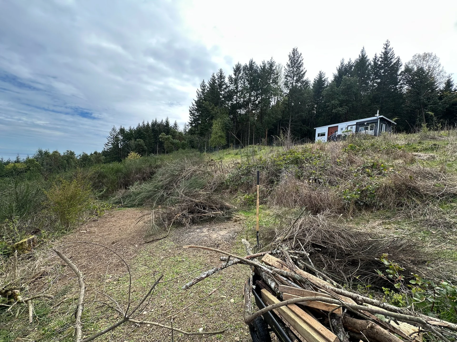  We had lots of other random wood to burn as well. 