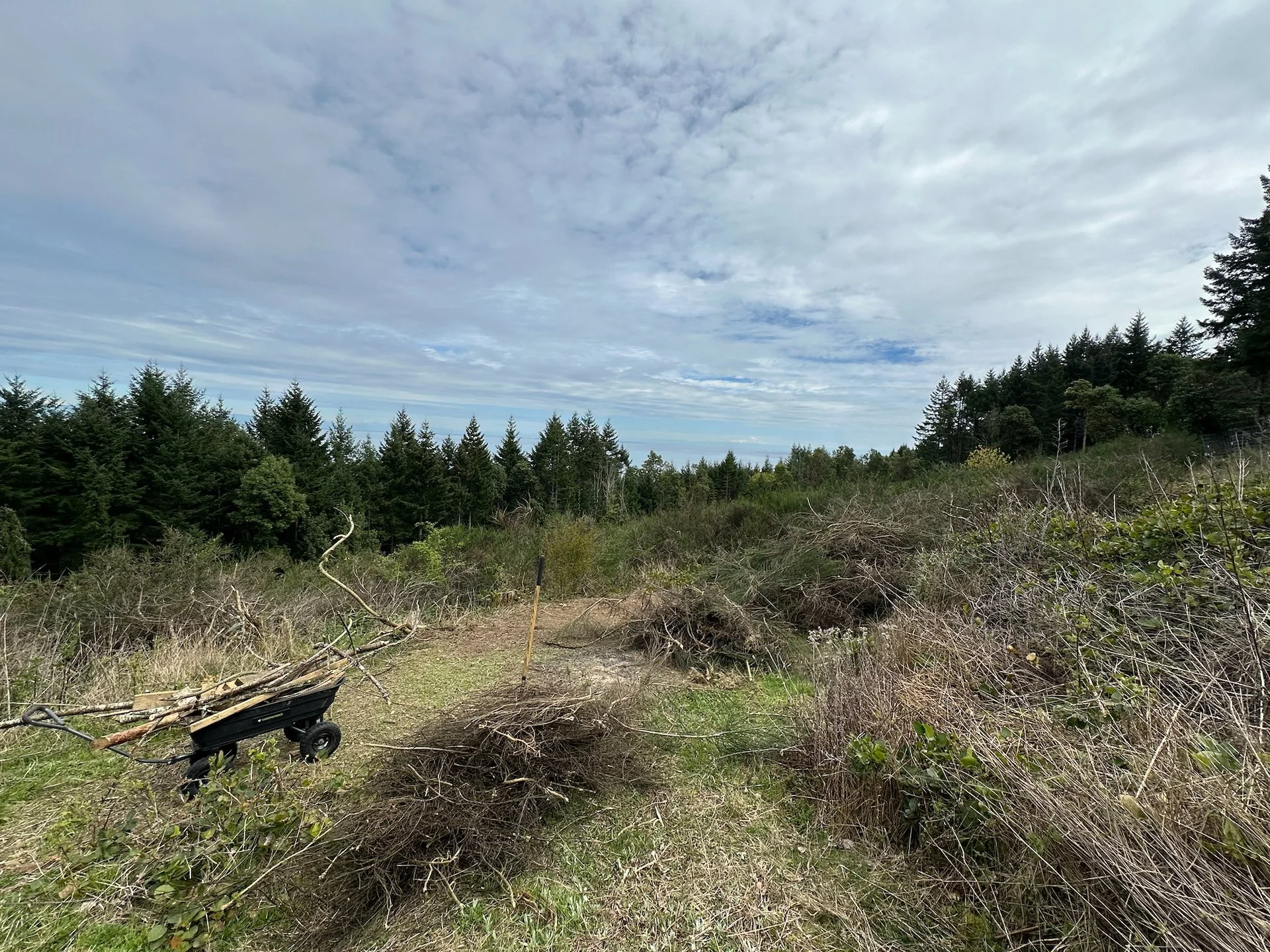 2026-04 Galiano Bird Walk - 5.jpeg