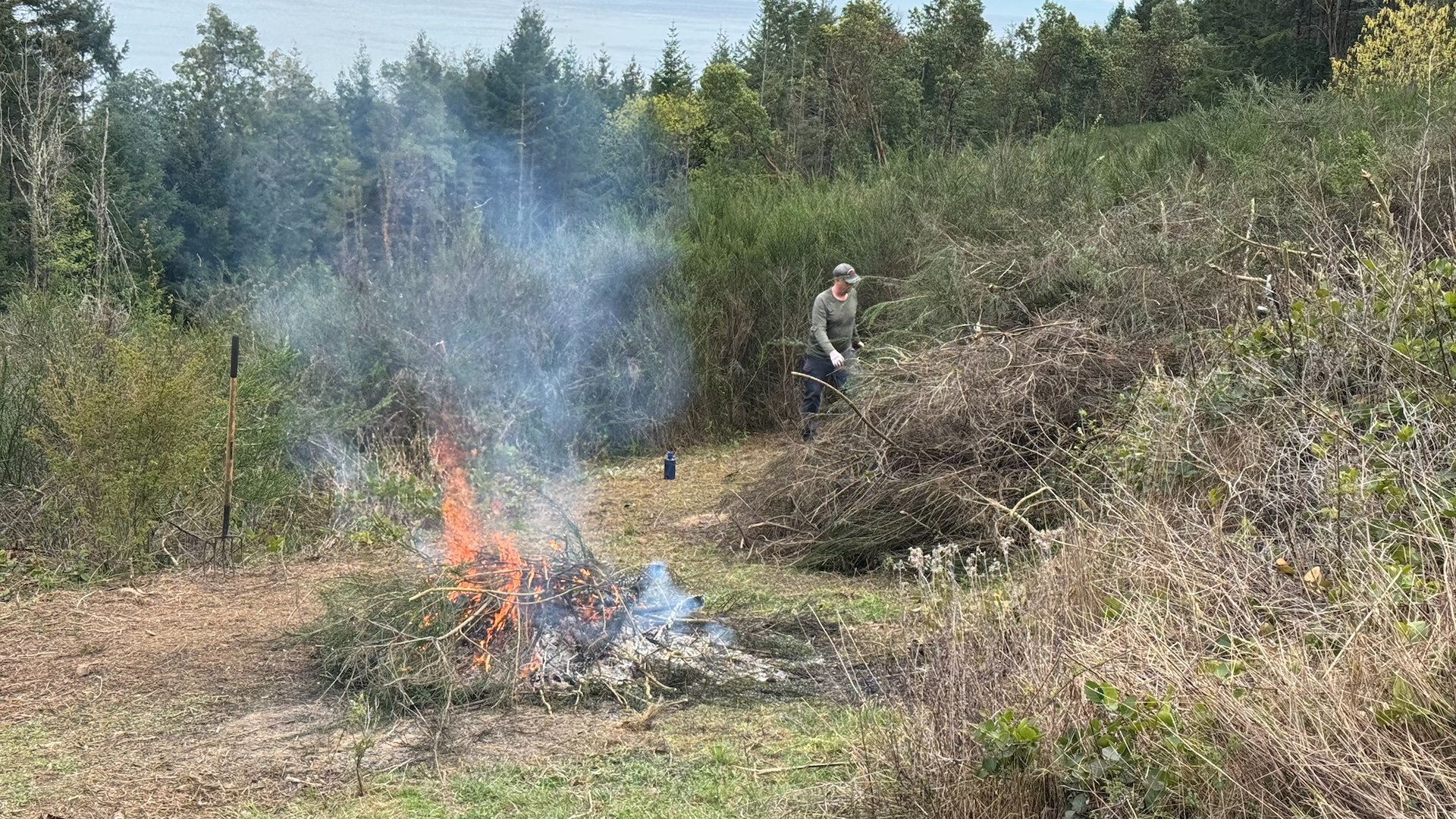  Once the burning starts, it actually goes quite fast. This one burned hot! 