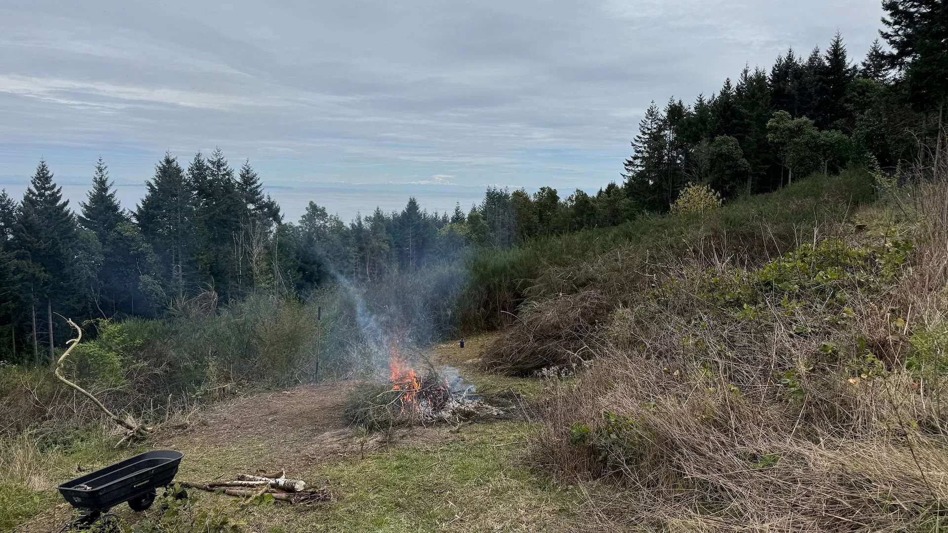 2026-04 Galiano Bird Walk - 8.jpeg