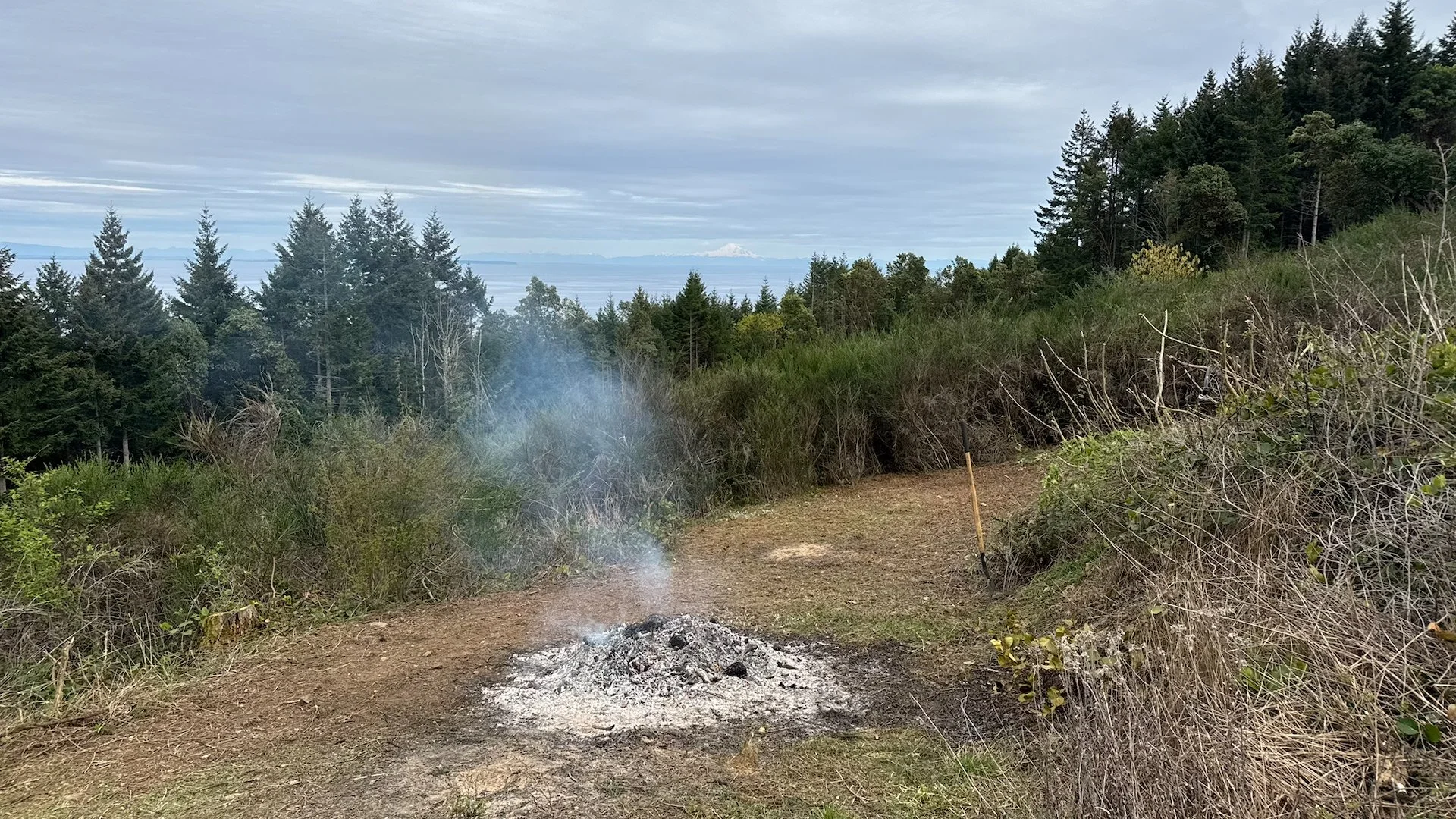  All that was left was a pile of ash, which eventually burned down completely. 